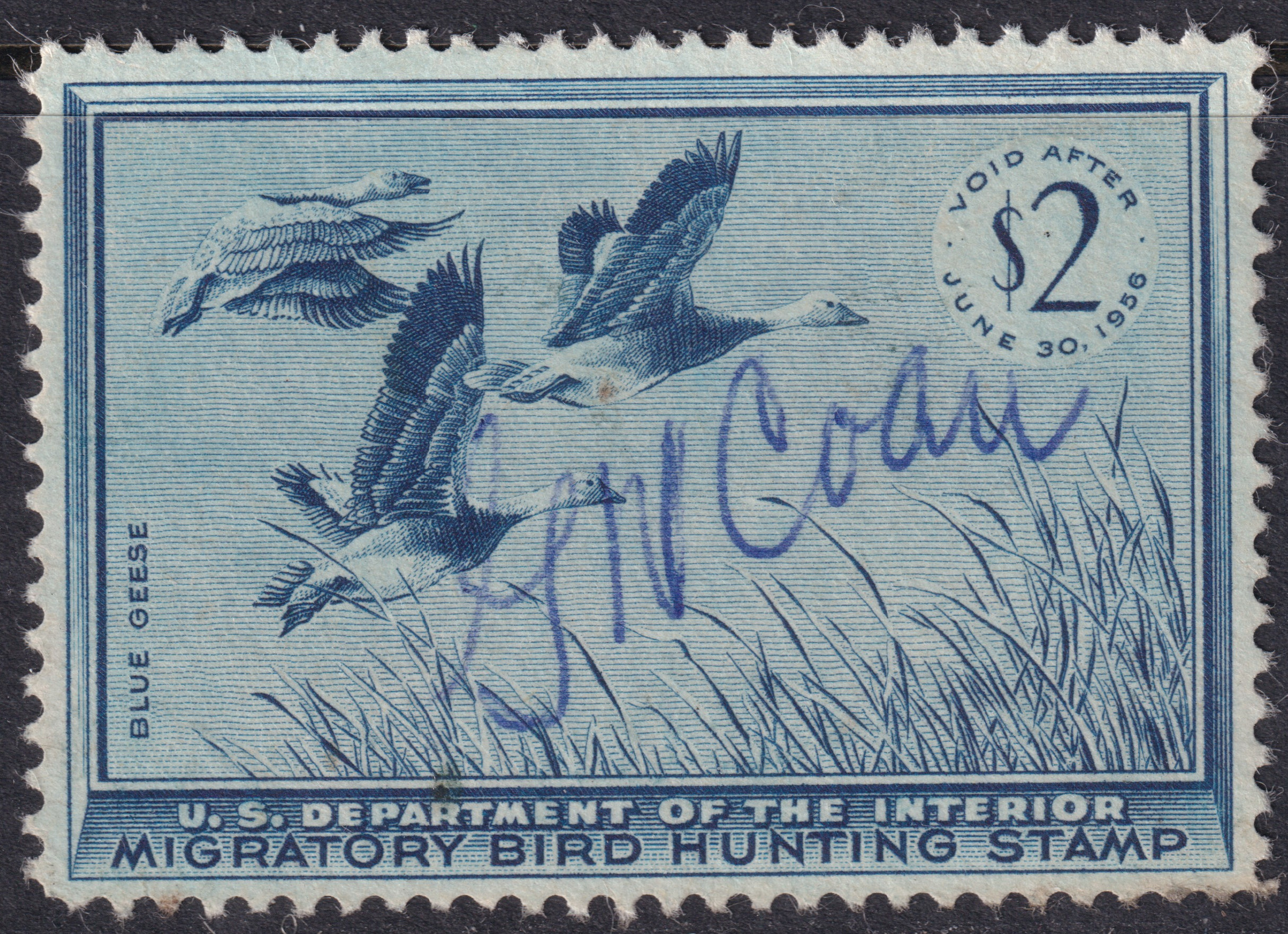 Stamp Picture