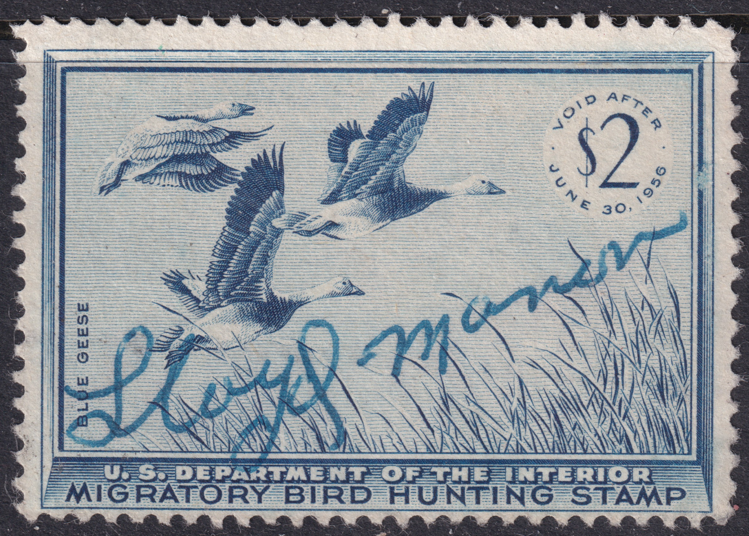 Stamp Picture