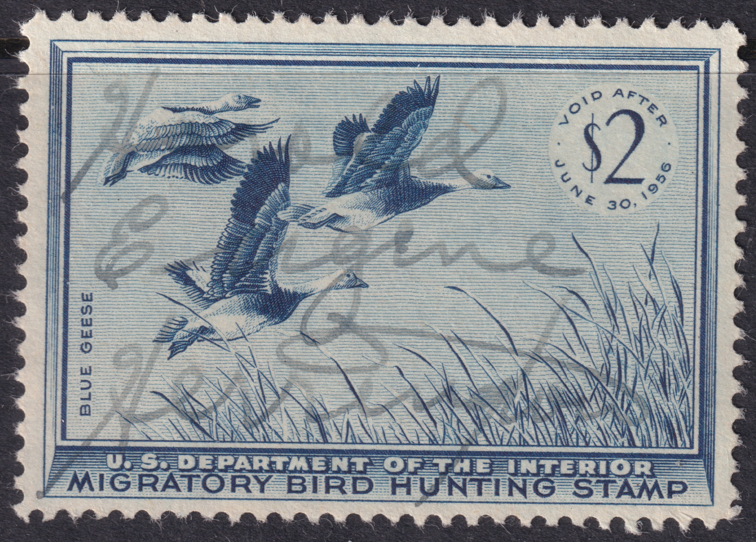 Stamp Picture