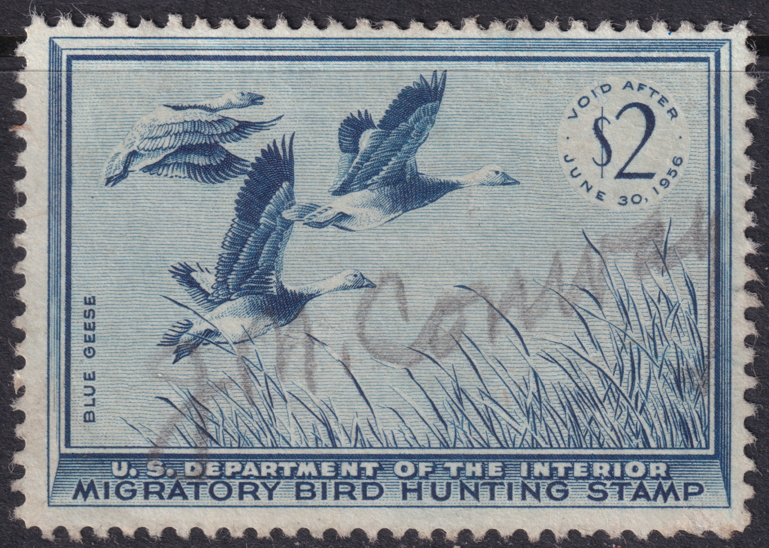Stamp Picture