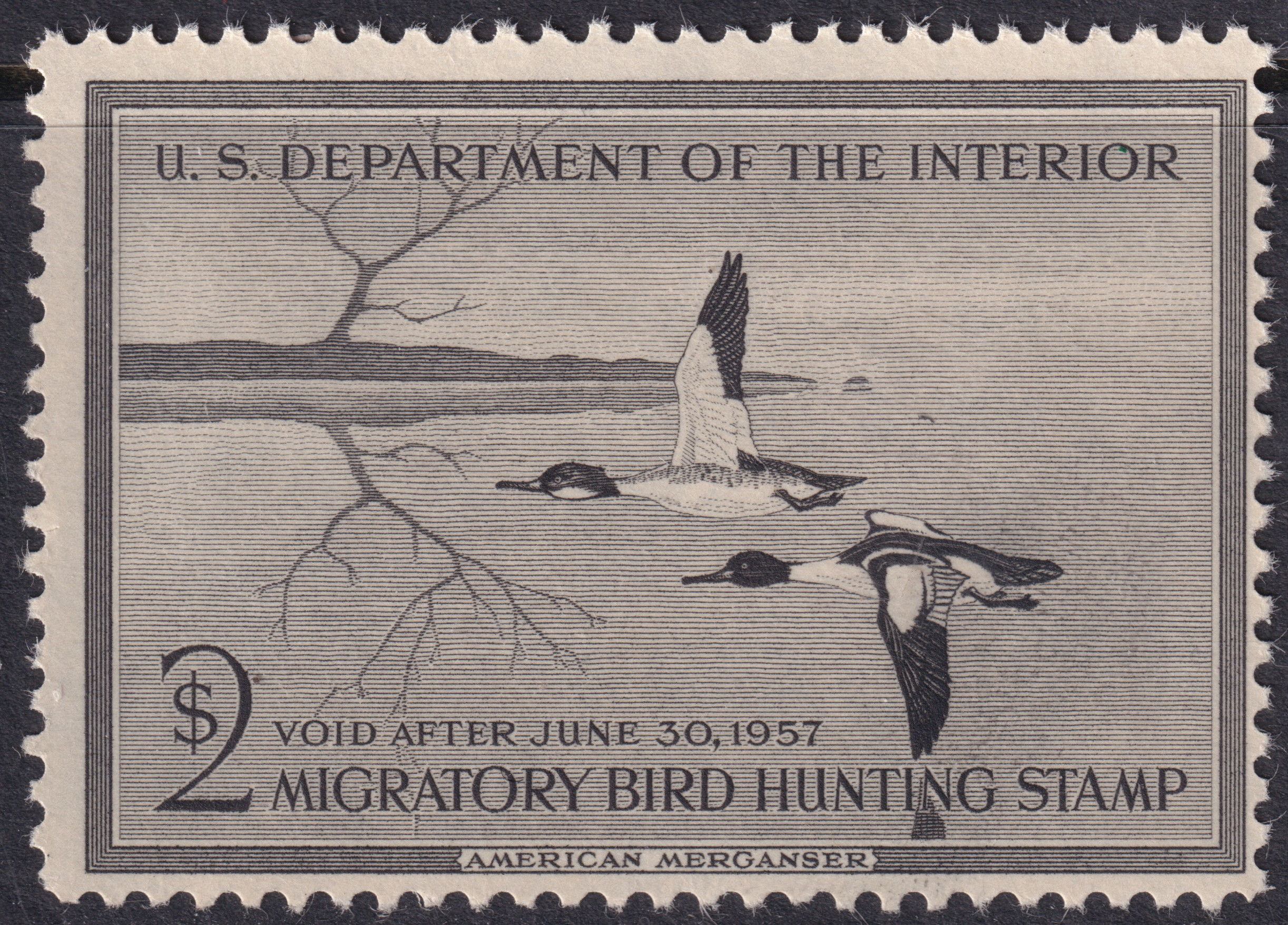 Stamp Picture