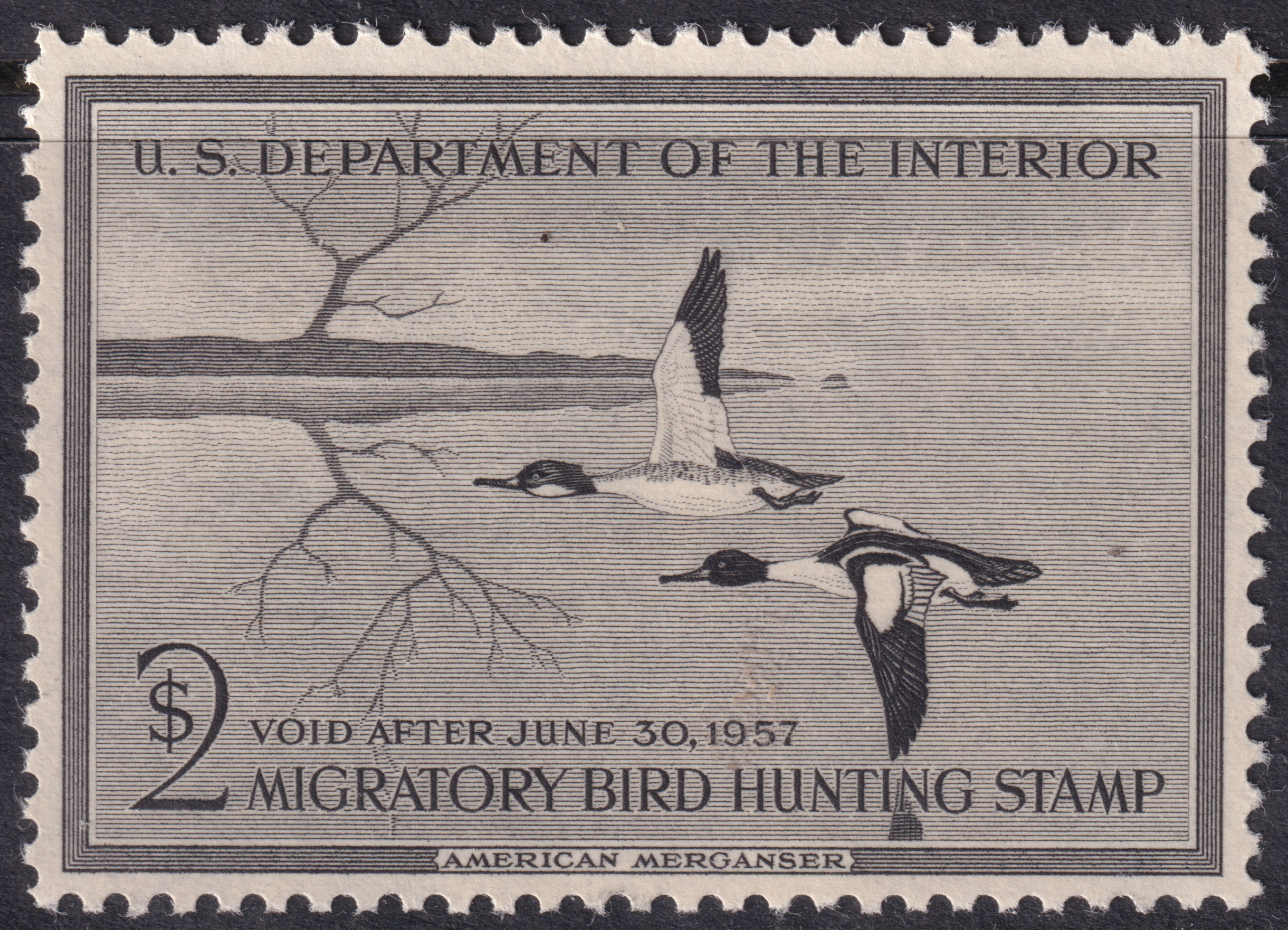 Stamp Picture