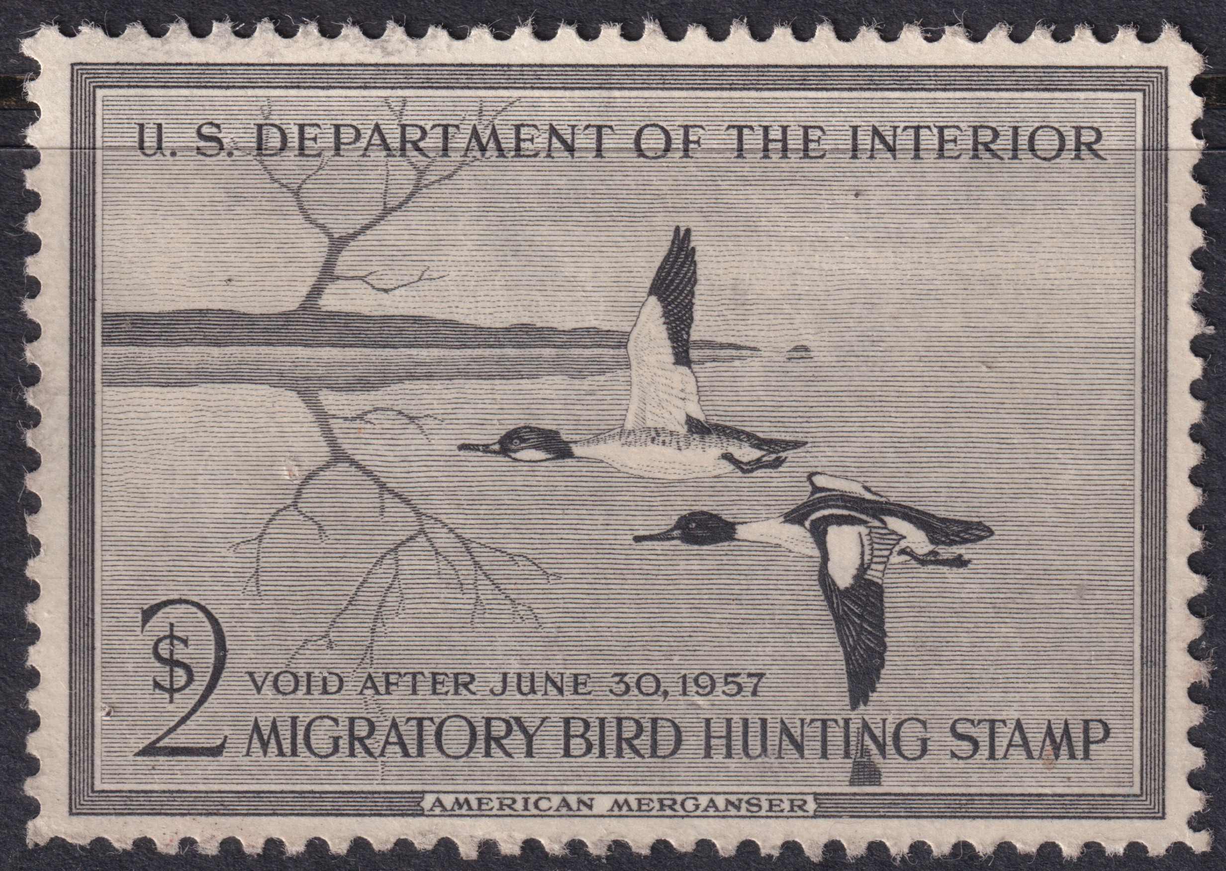 Stamp Picture