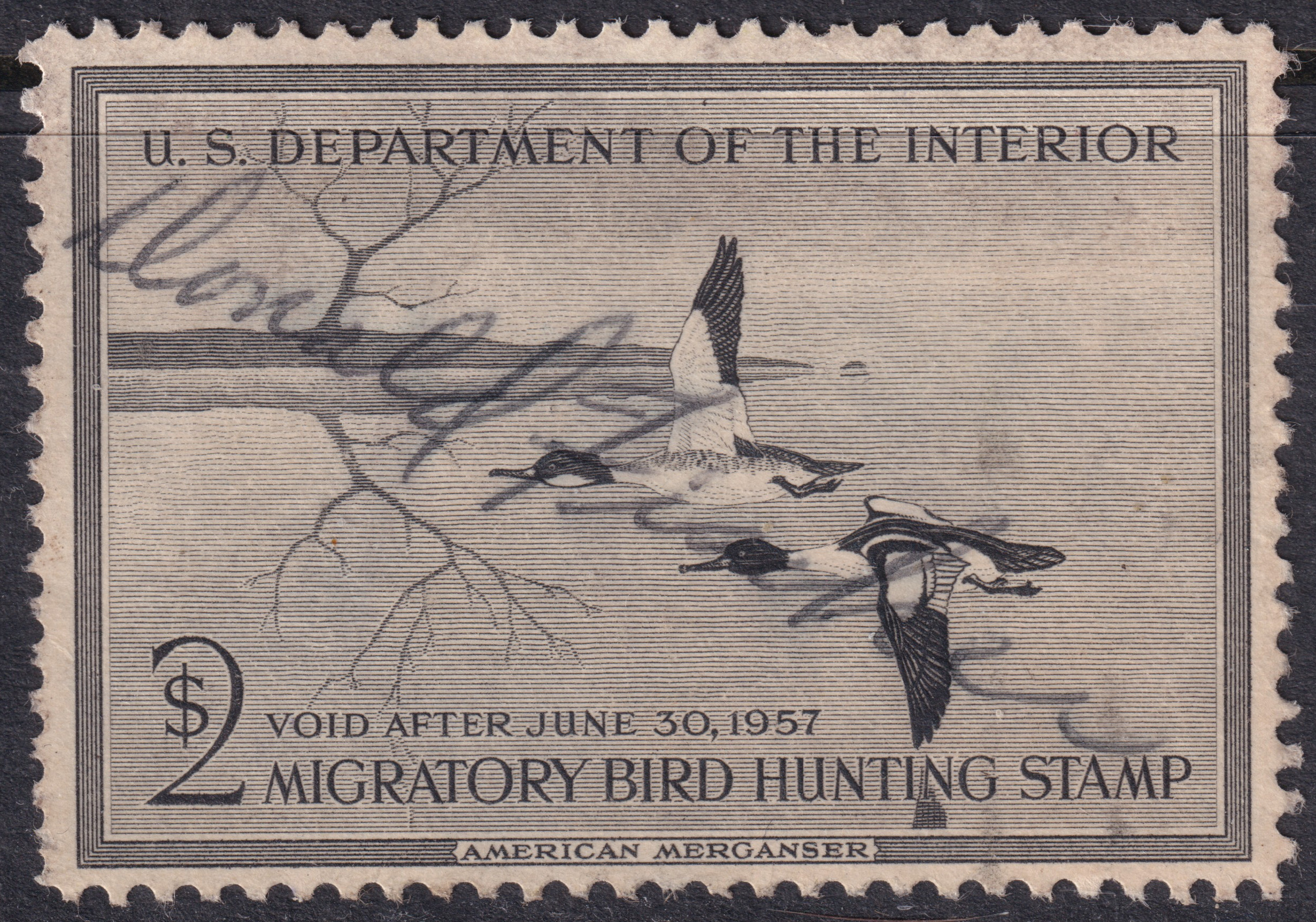 Stamp Picture