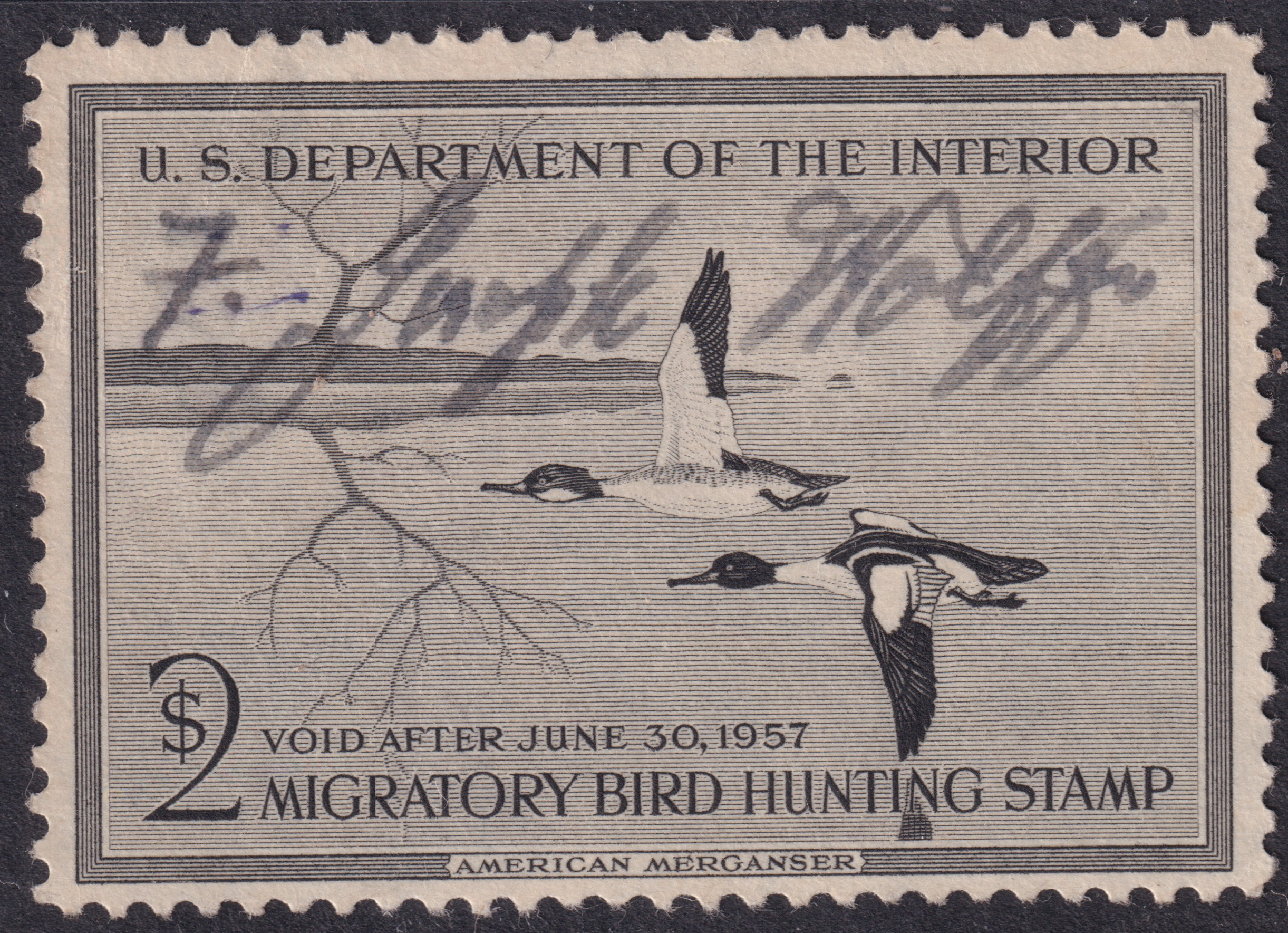 Stamp Picture