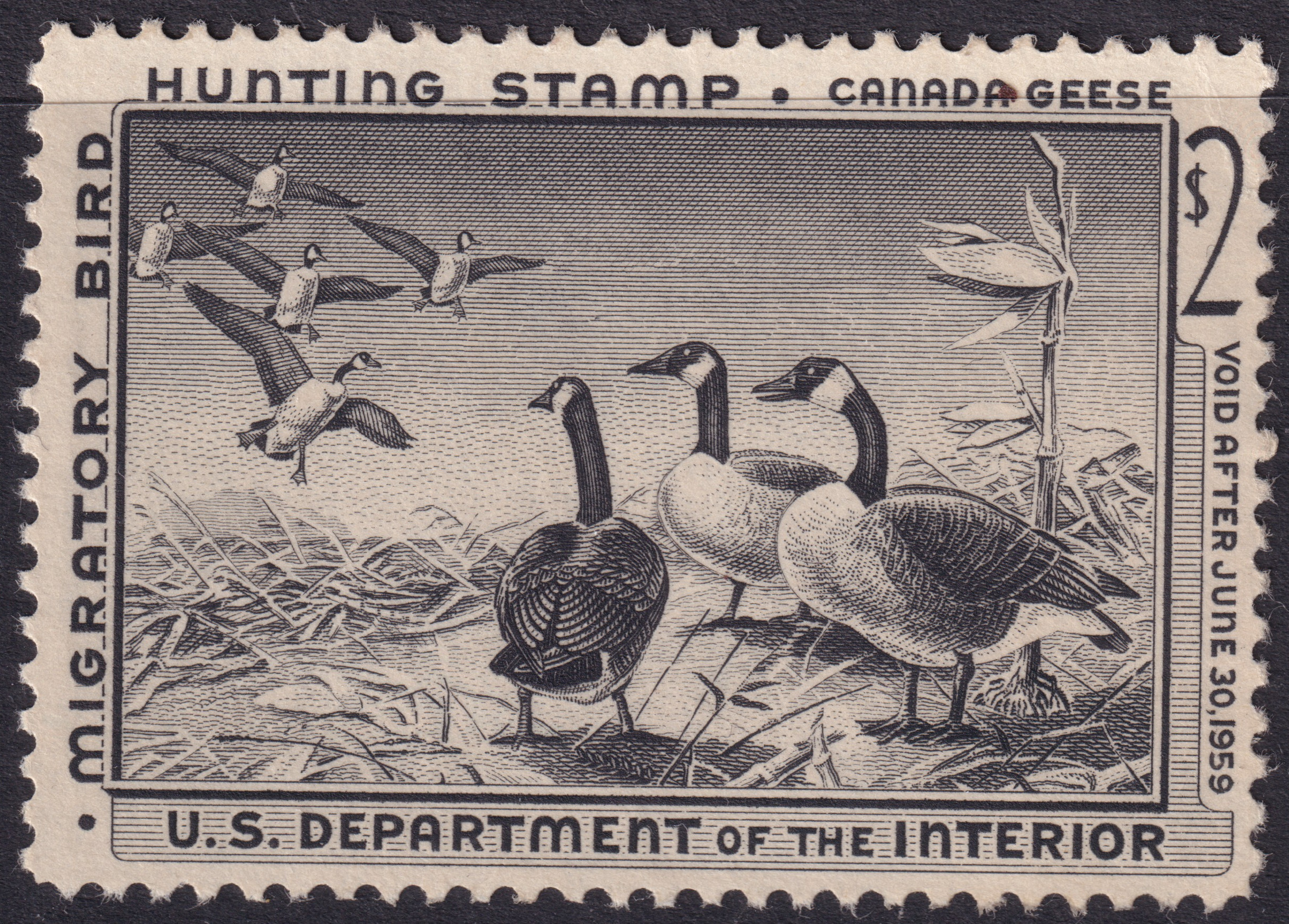 Stamp Picture