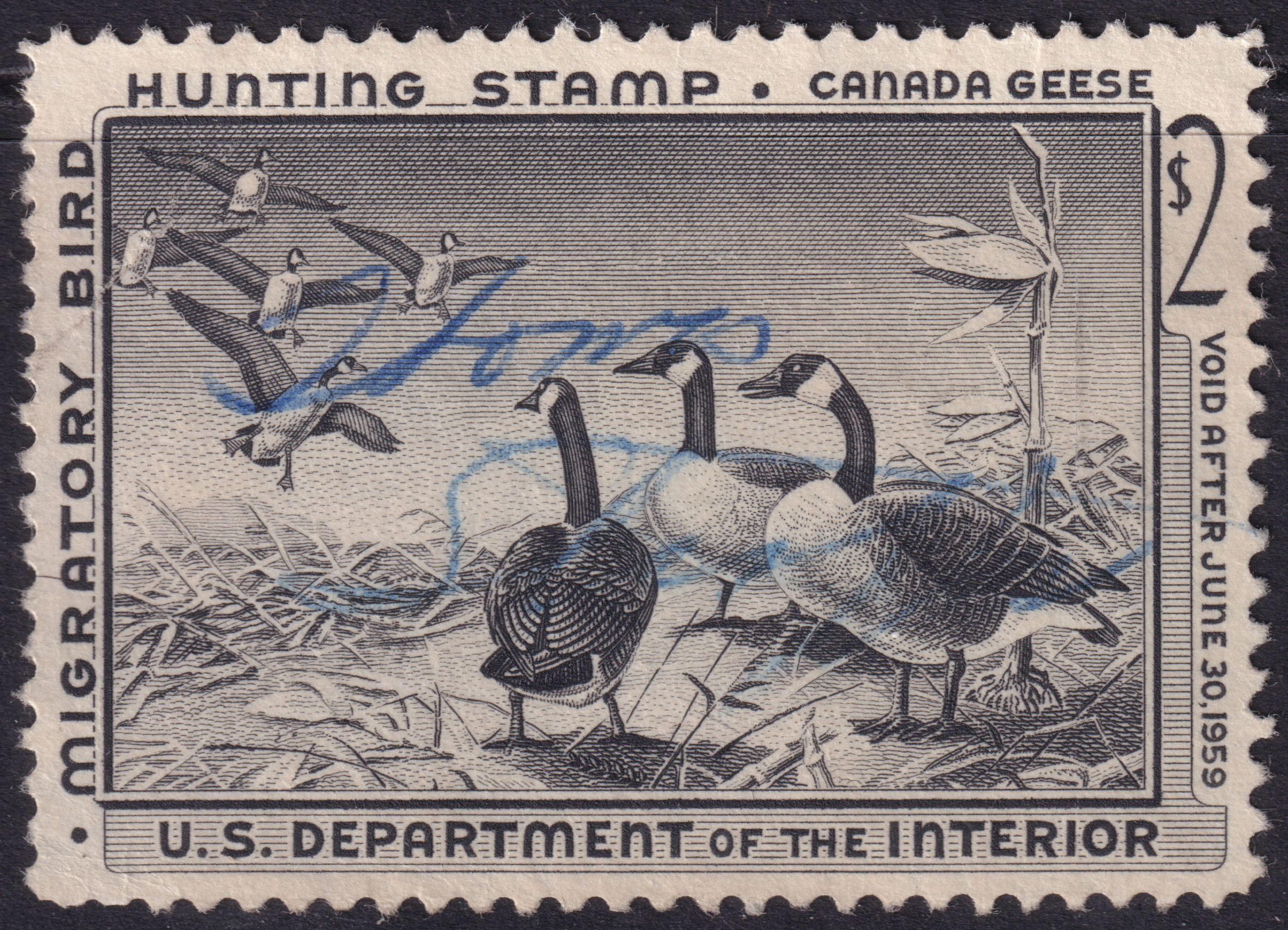 Stamp Picture