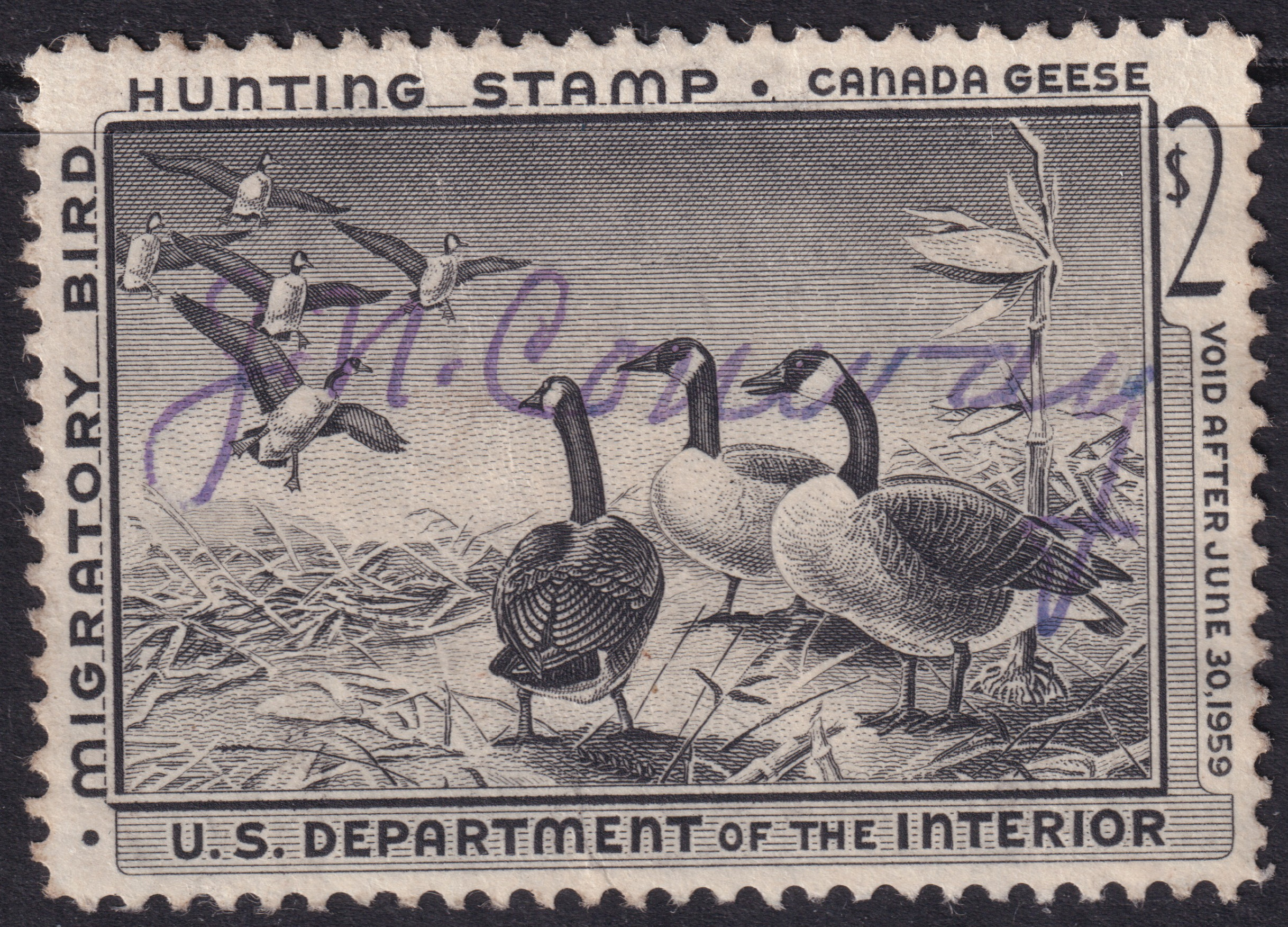 Stamp Picture