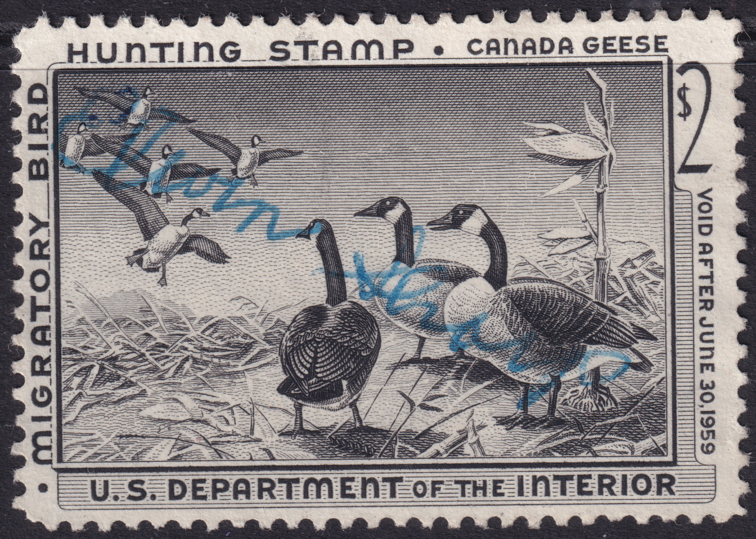 Stamp Picture