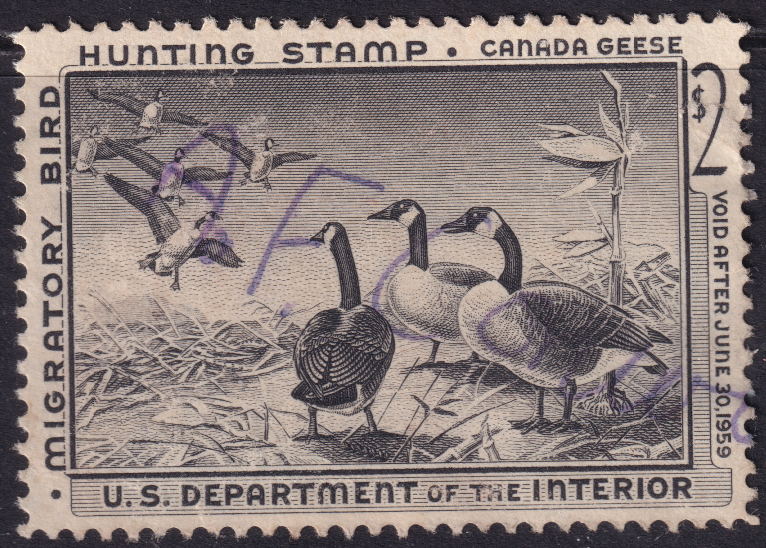 Stamp Picture