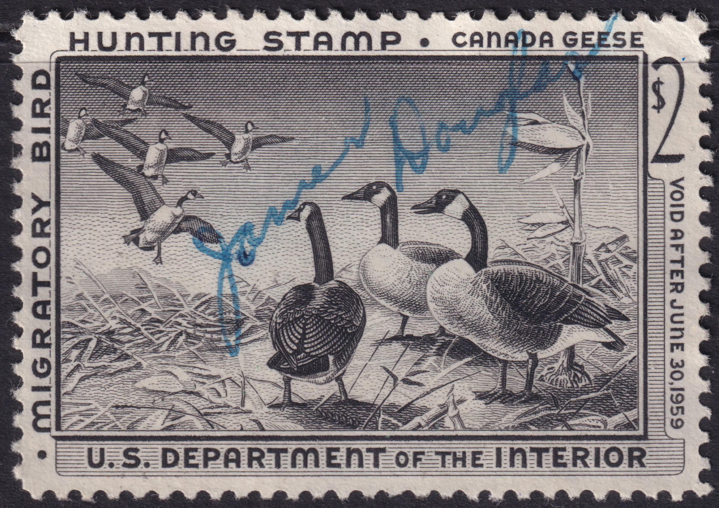 Stamp Picture