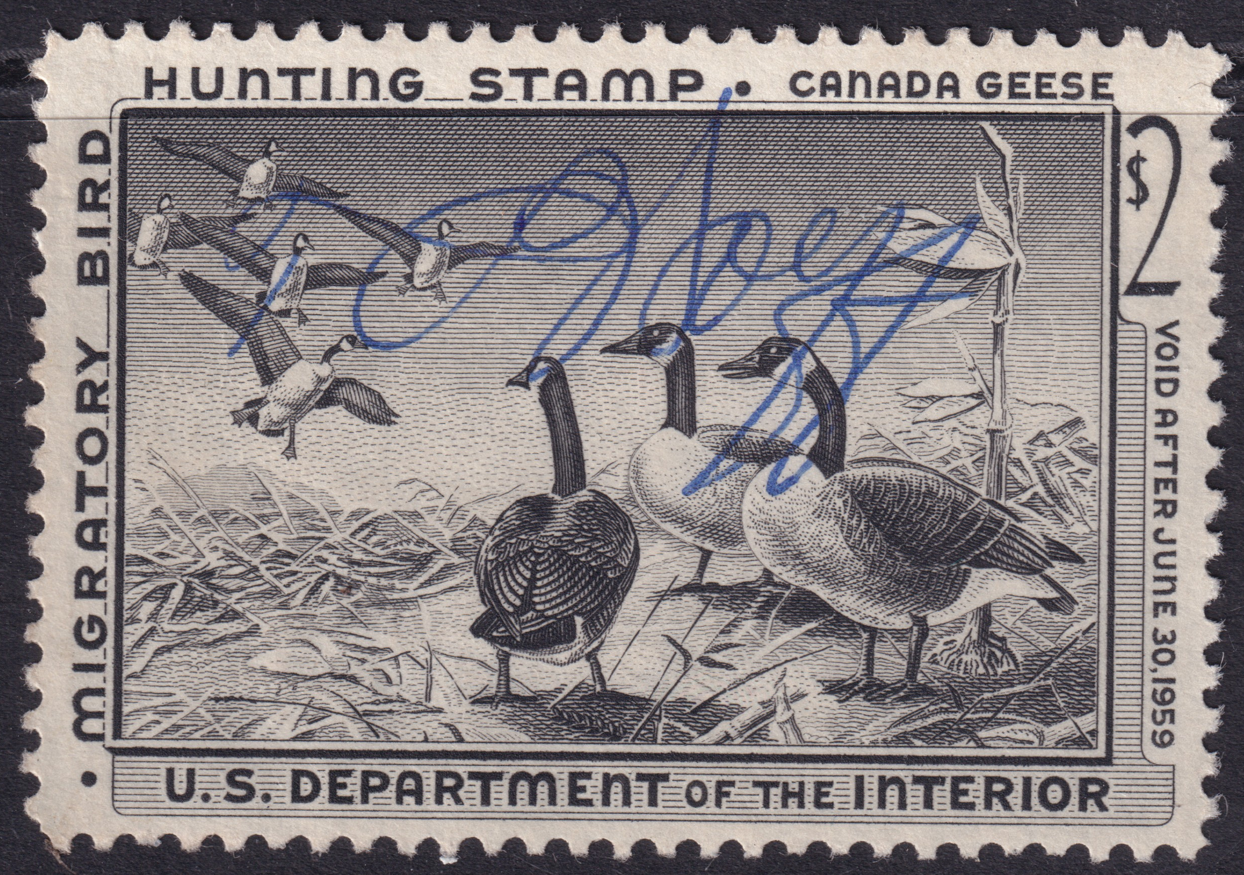 Stamp Picture