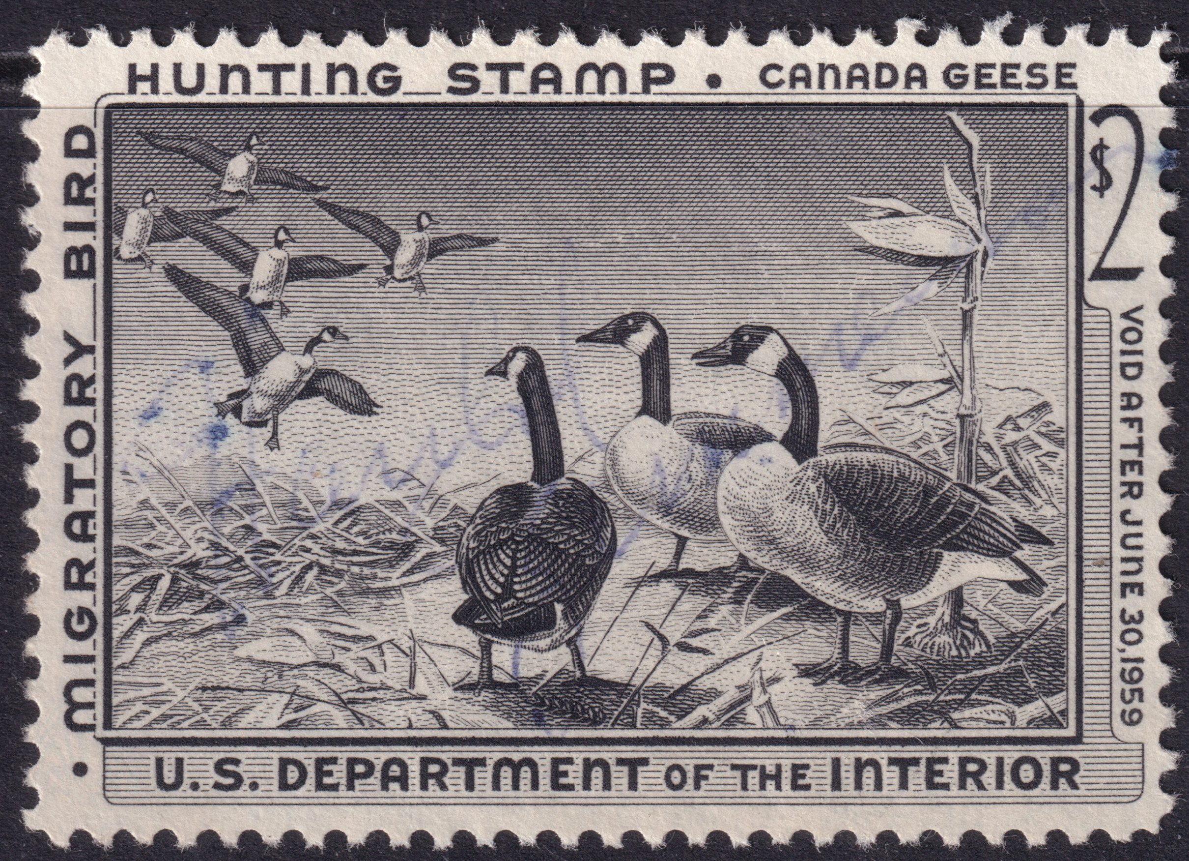 Stamp Picture
