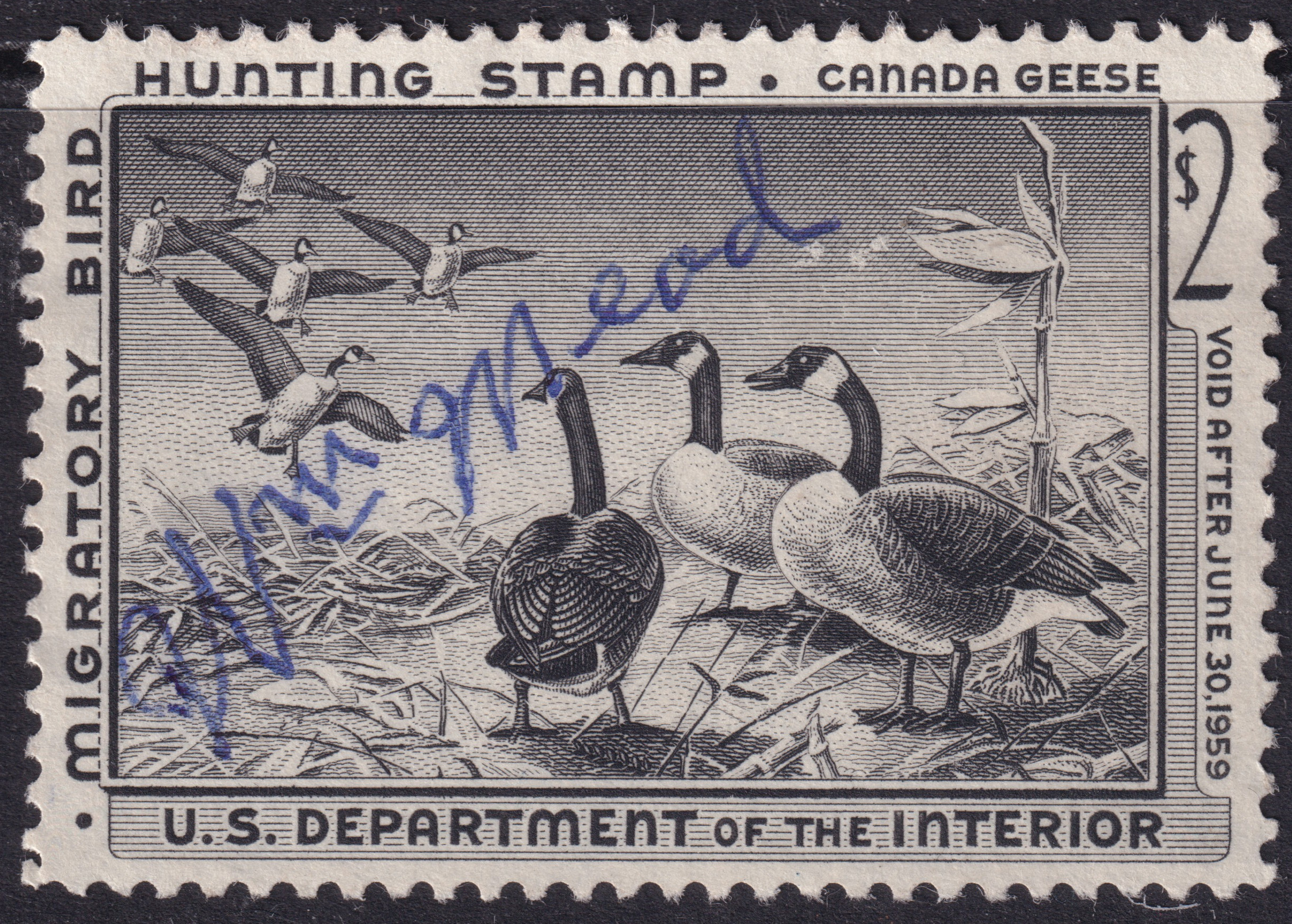Stamp Picture