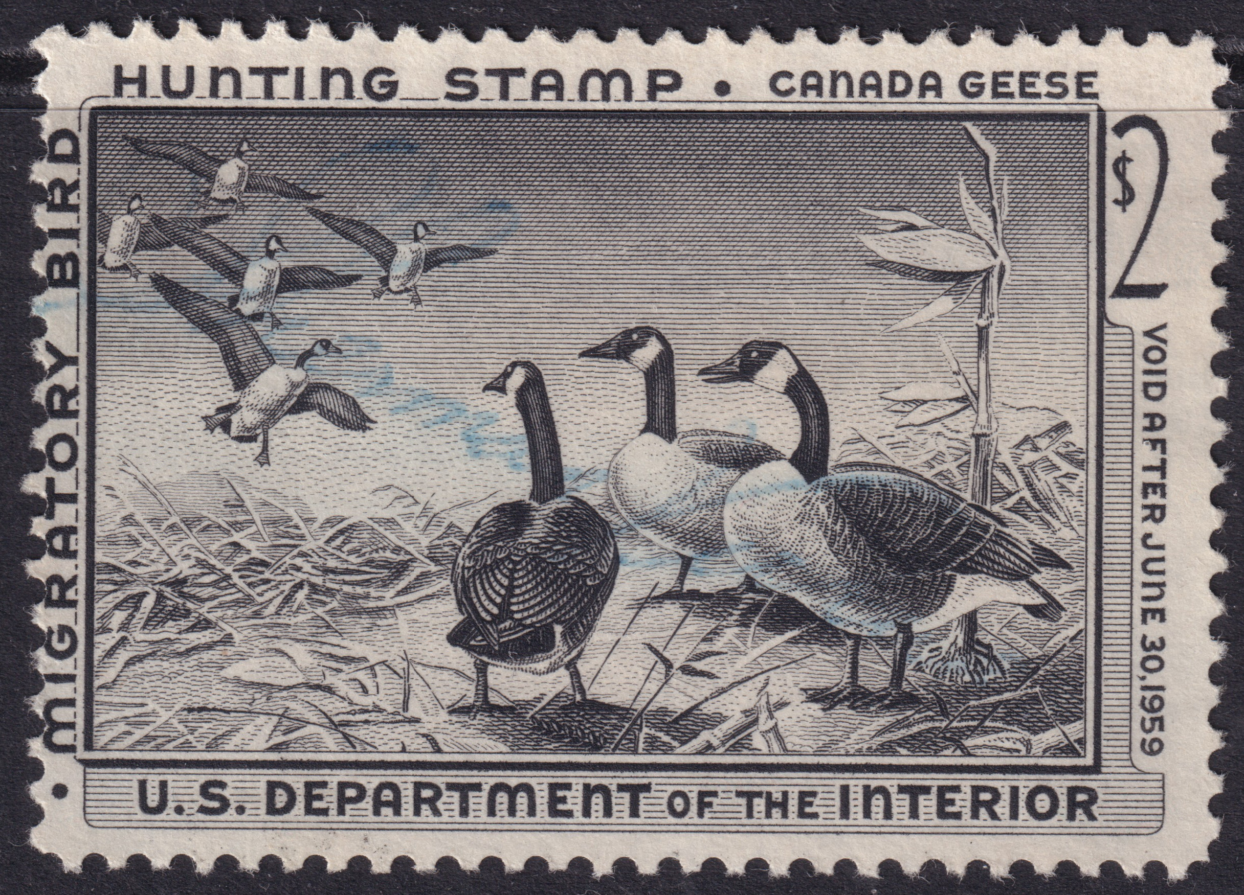Stamp Picture