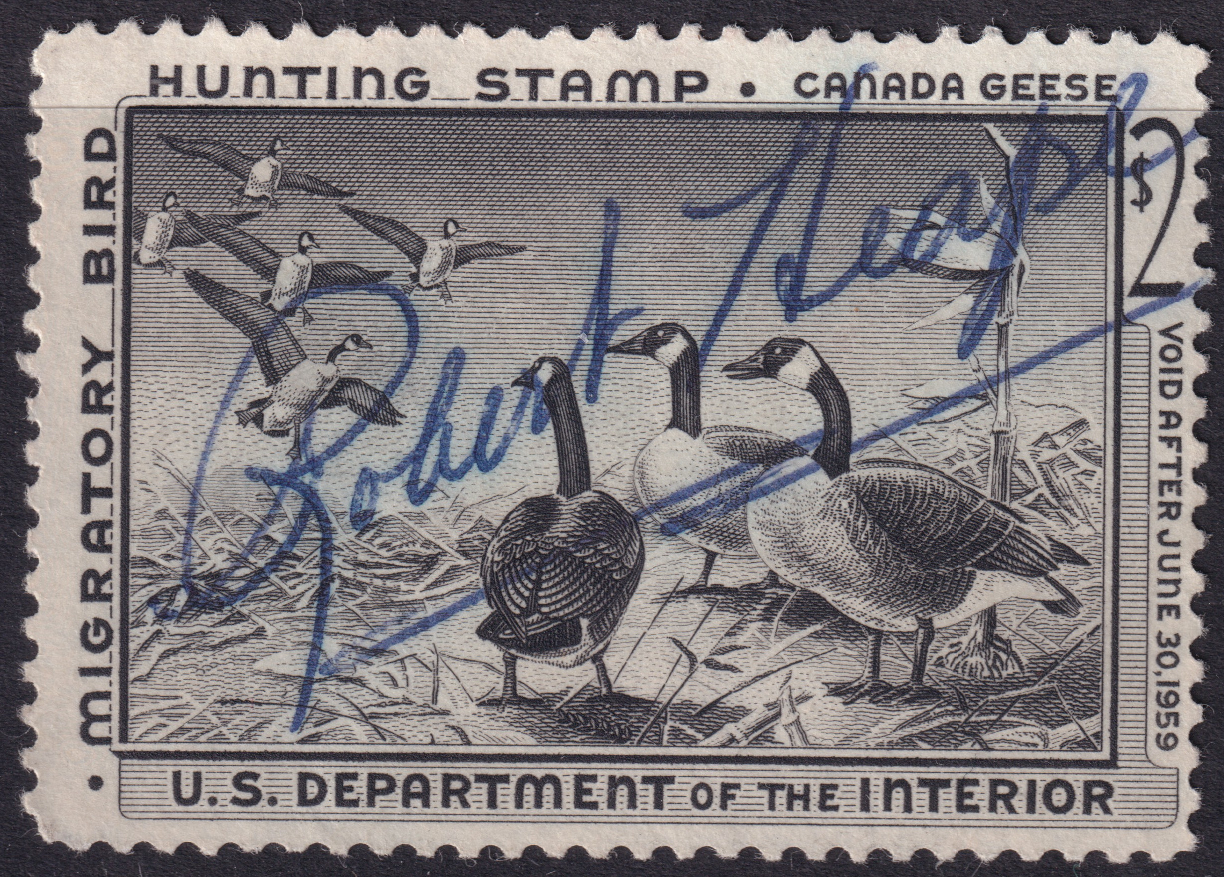 Stamp Picture