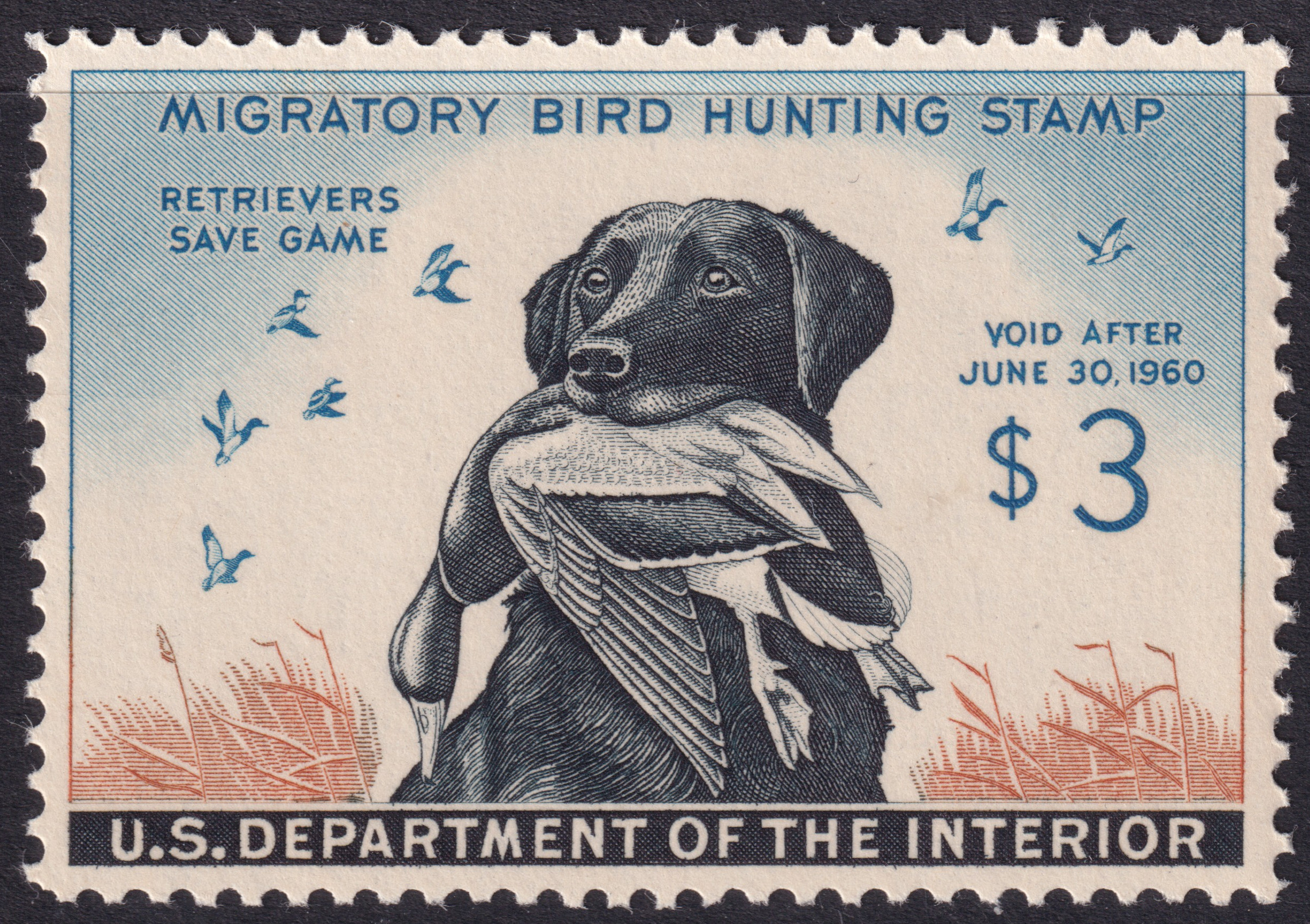 Stamp Picture