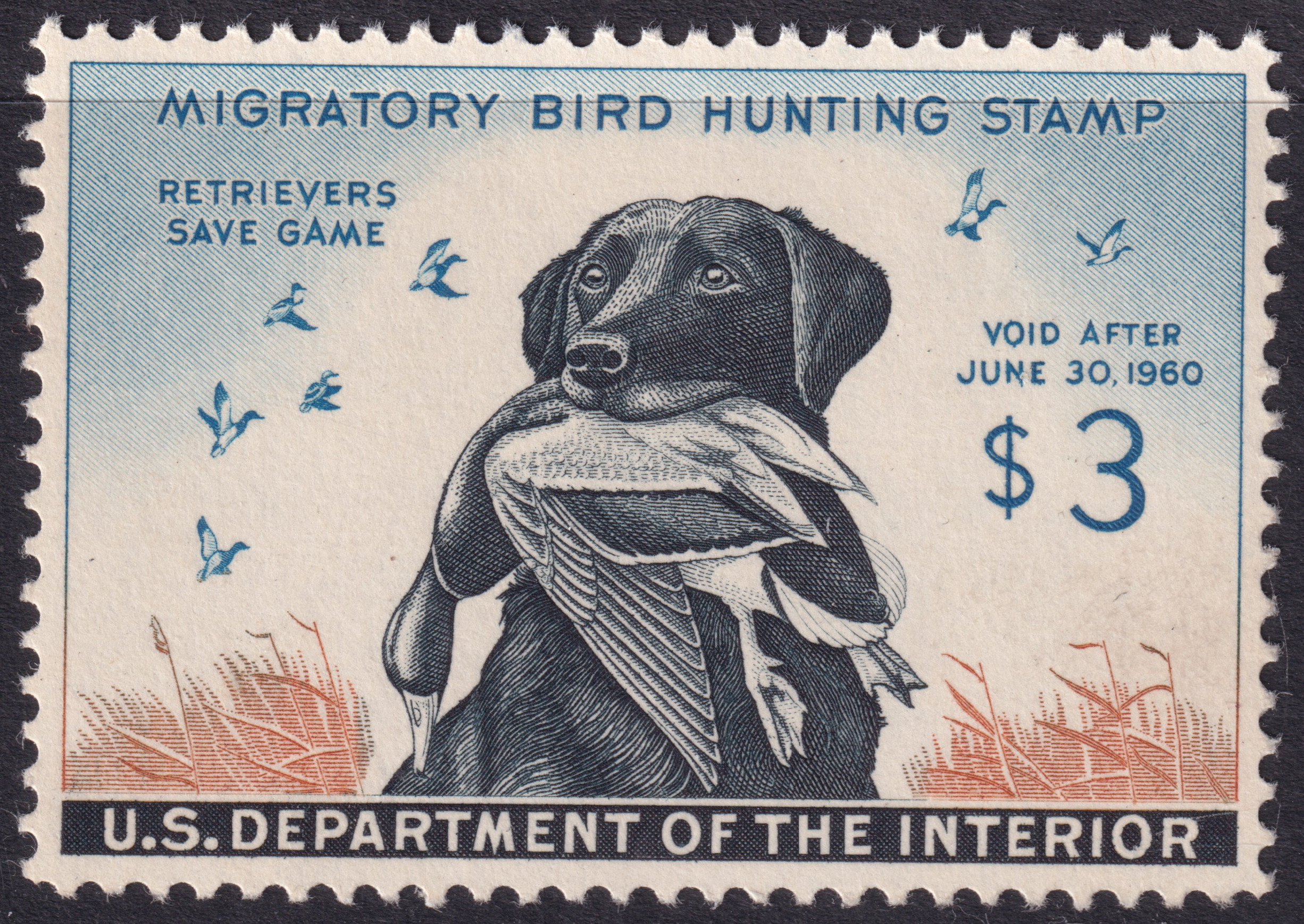 Stamp Picture