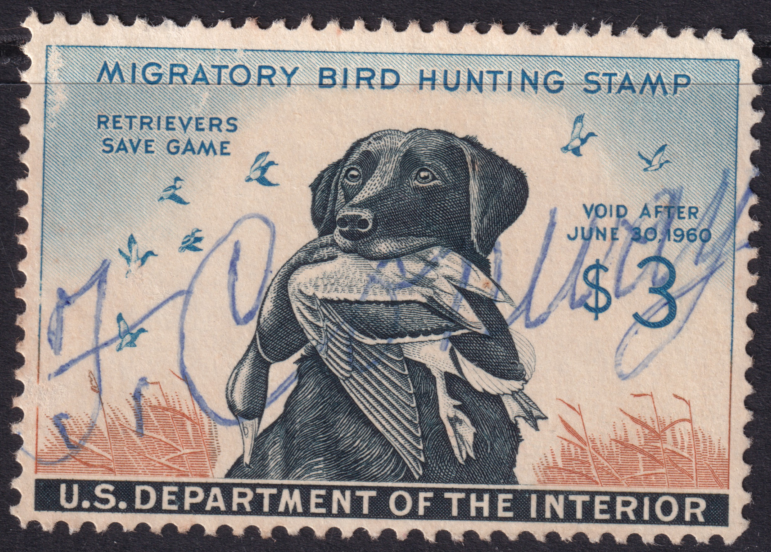 Stamp Picture