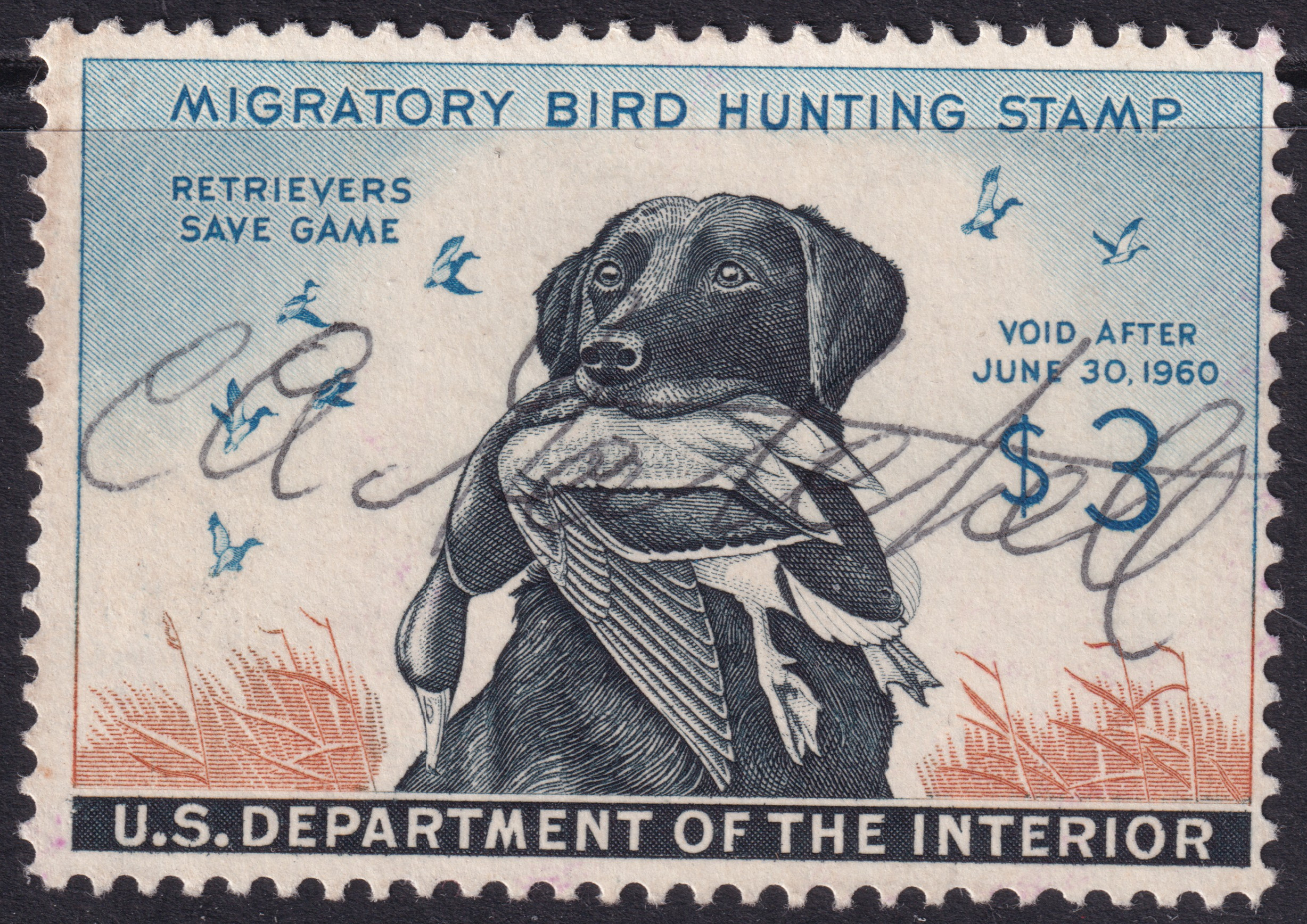 Stamp Picture