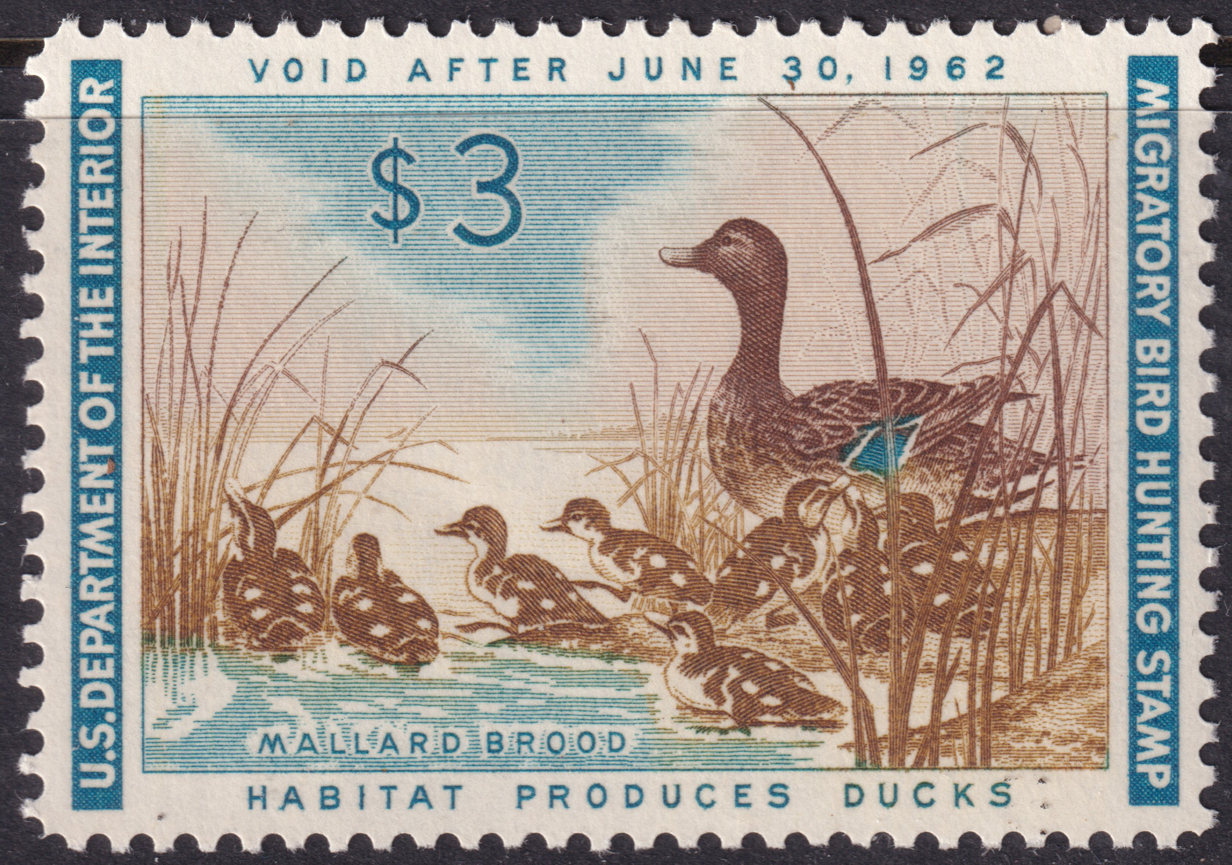Stamp Picture