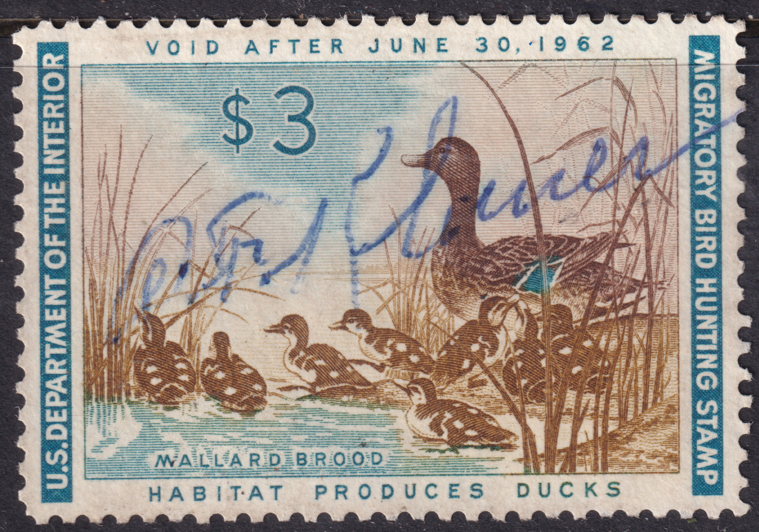 Stamp Picture
