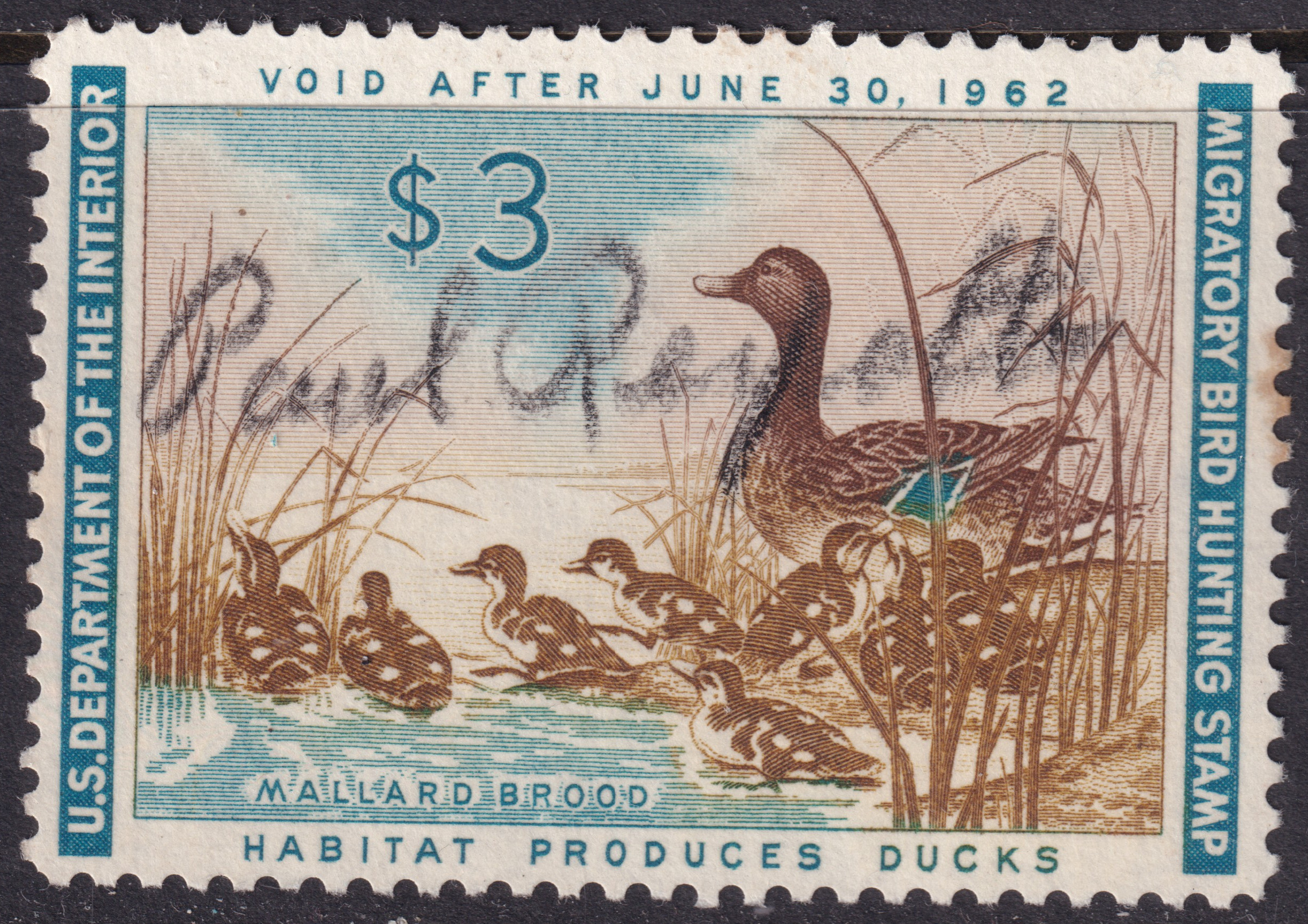 Stamp Picture