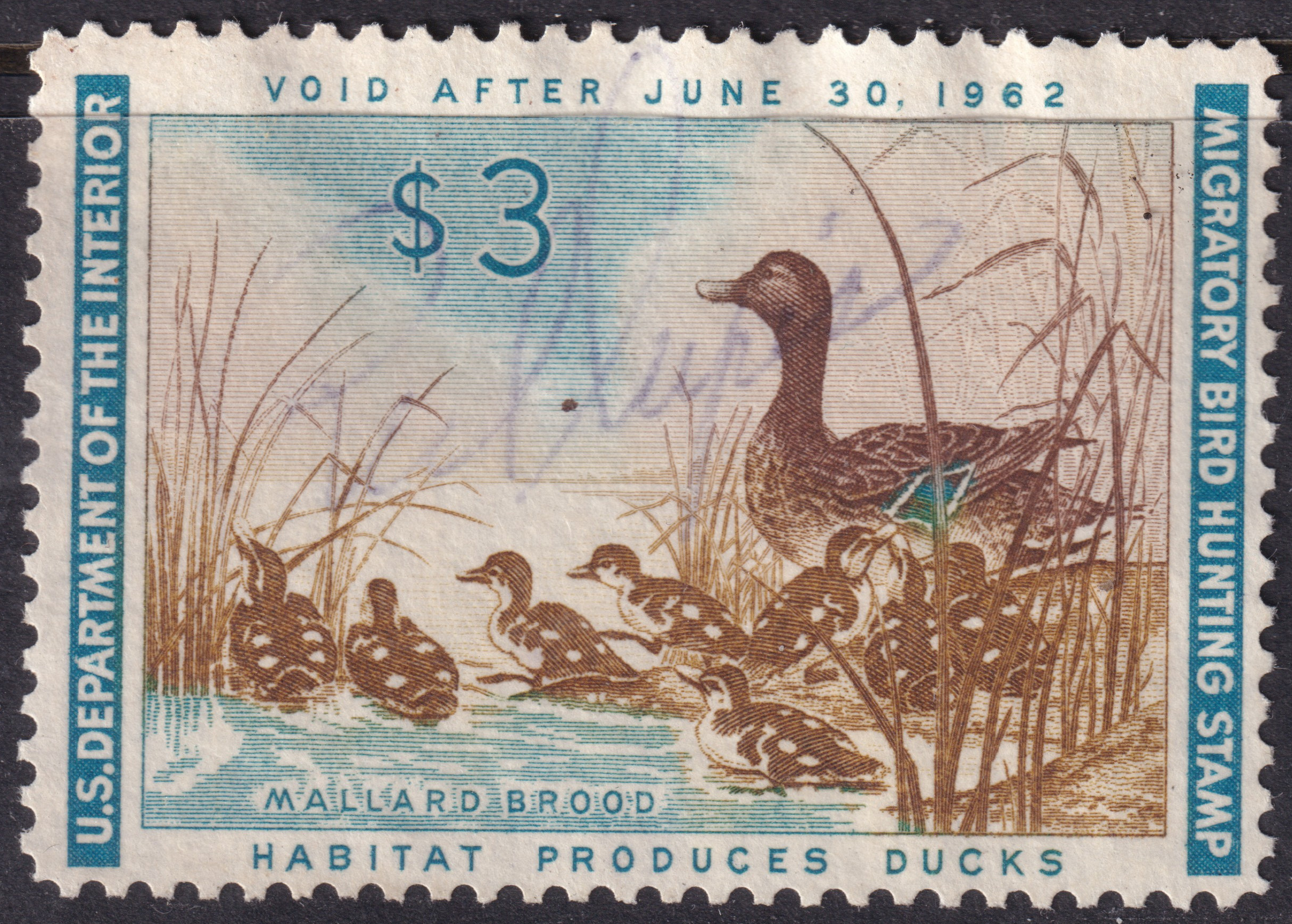 Stamp Picture