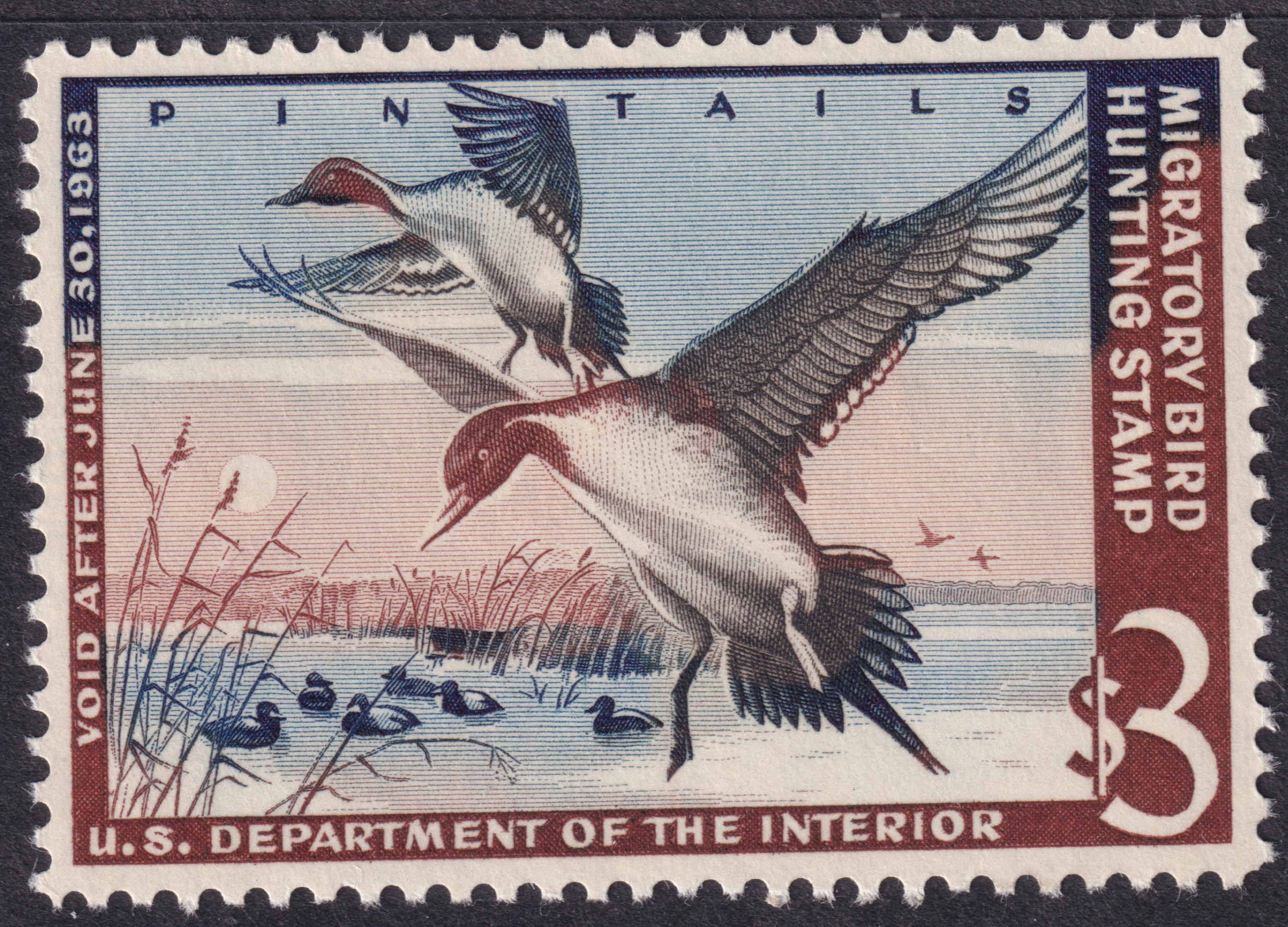 Stamp Picture