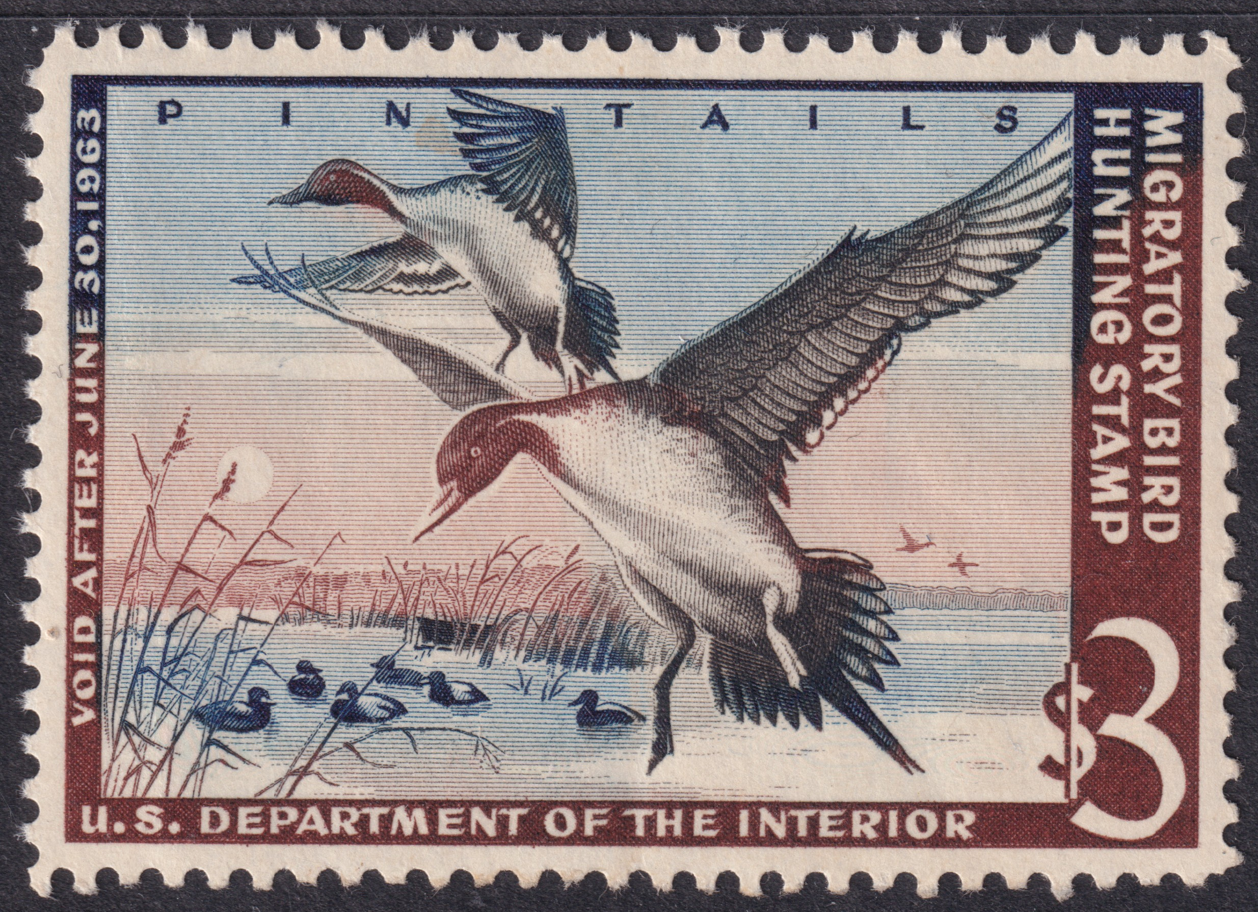 Stamp Picture