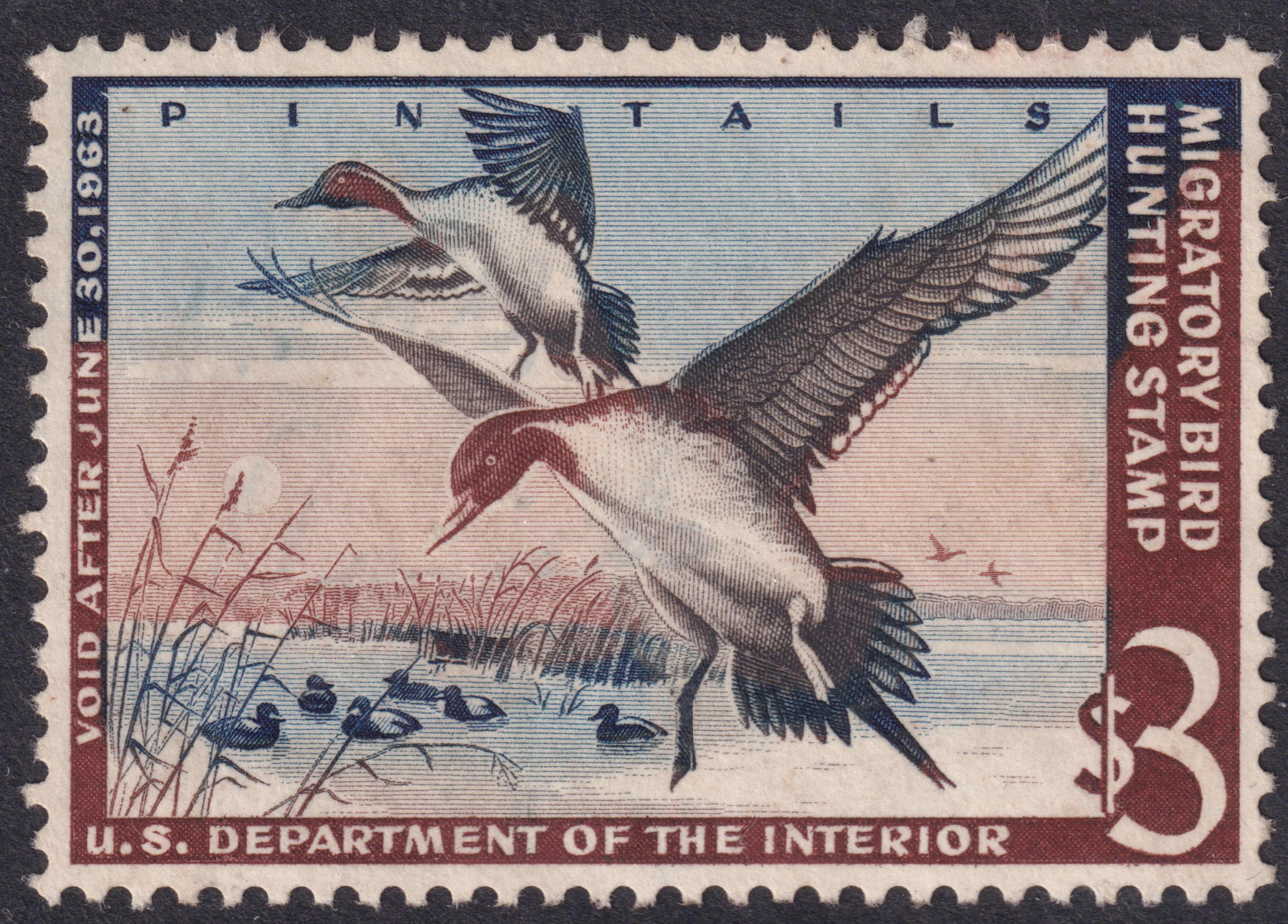 Stamp Picture
