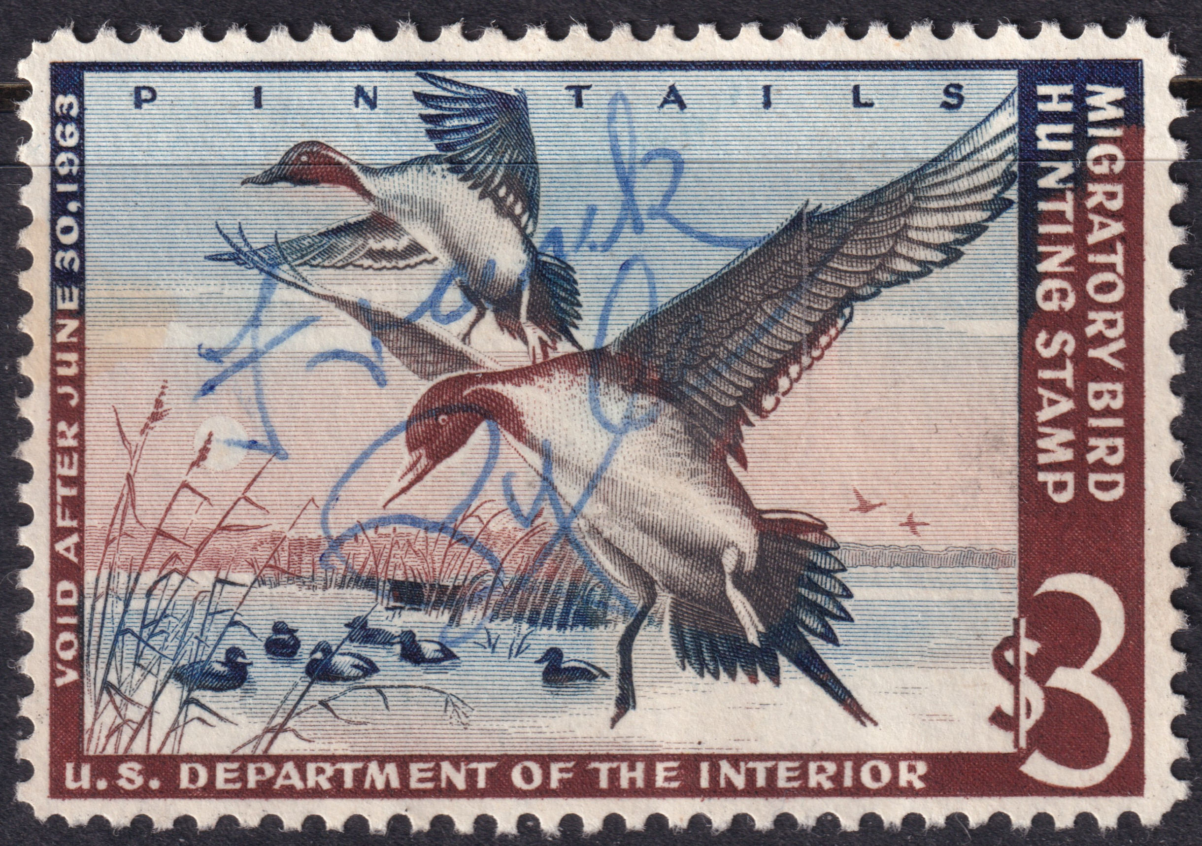 Stamp Picture