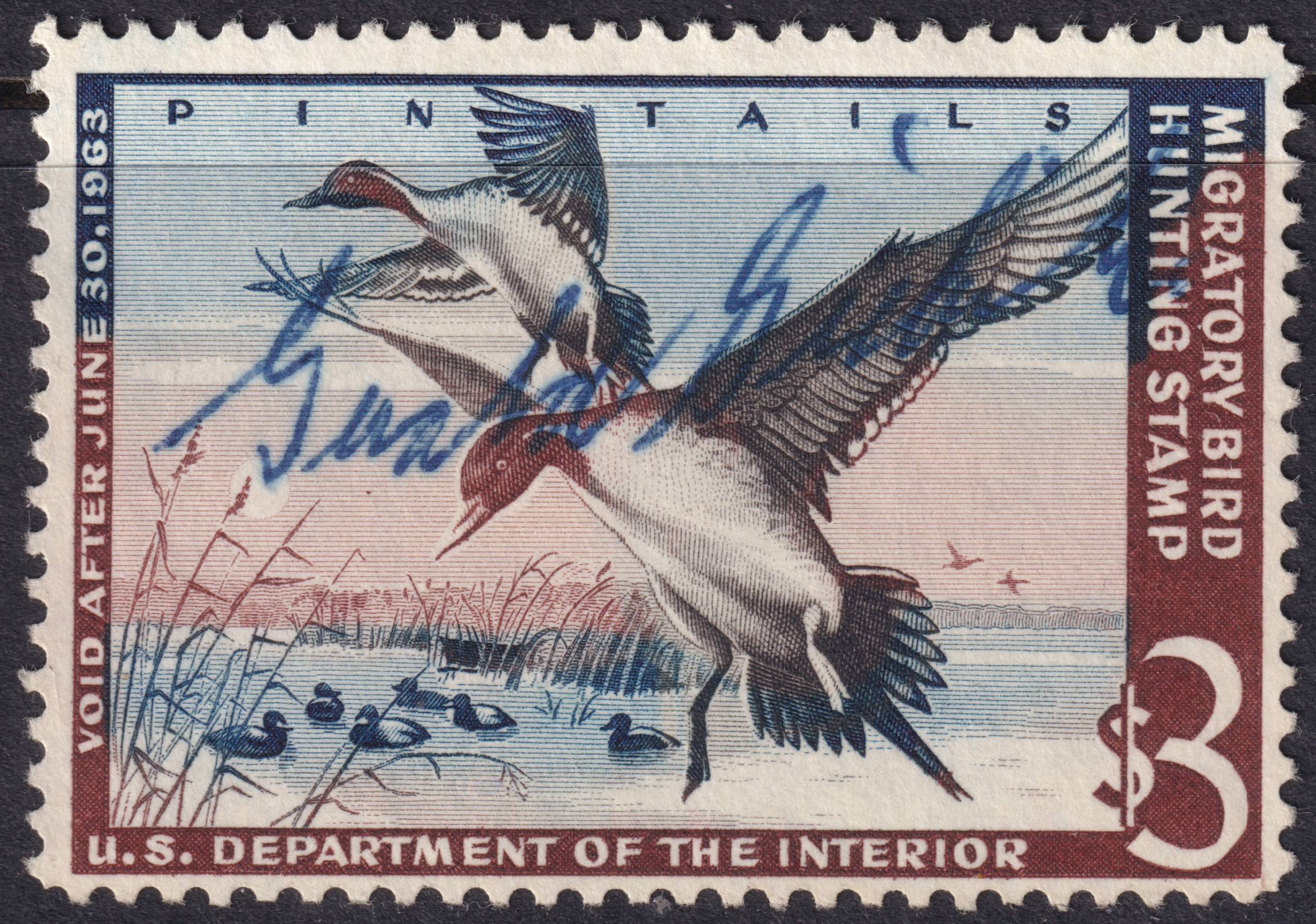 Stamp Picture