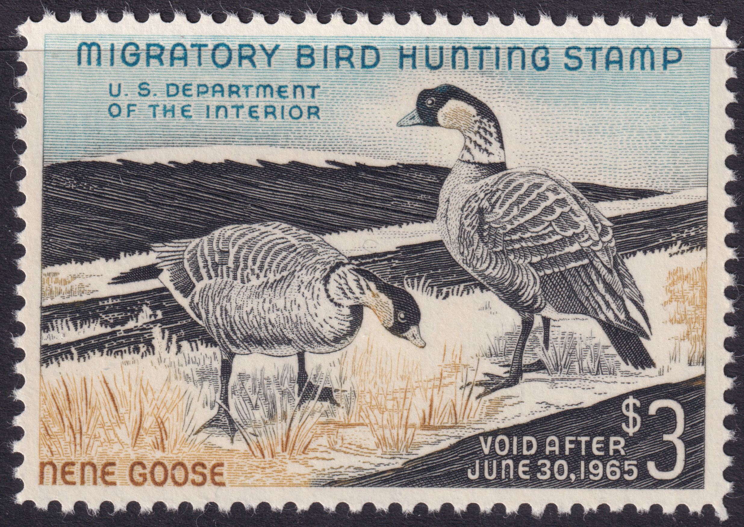 Stamp Picture