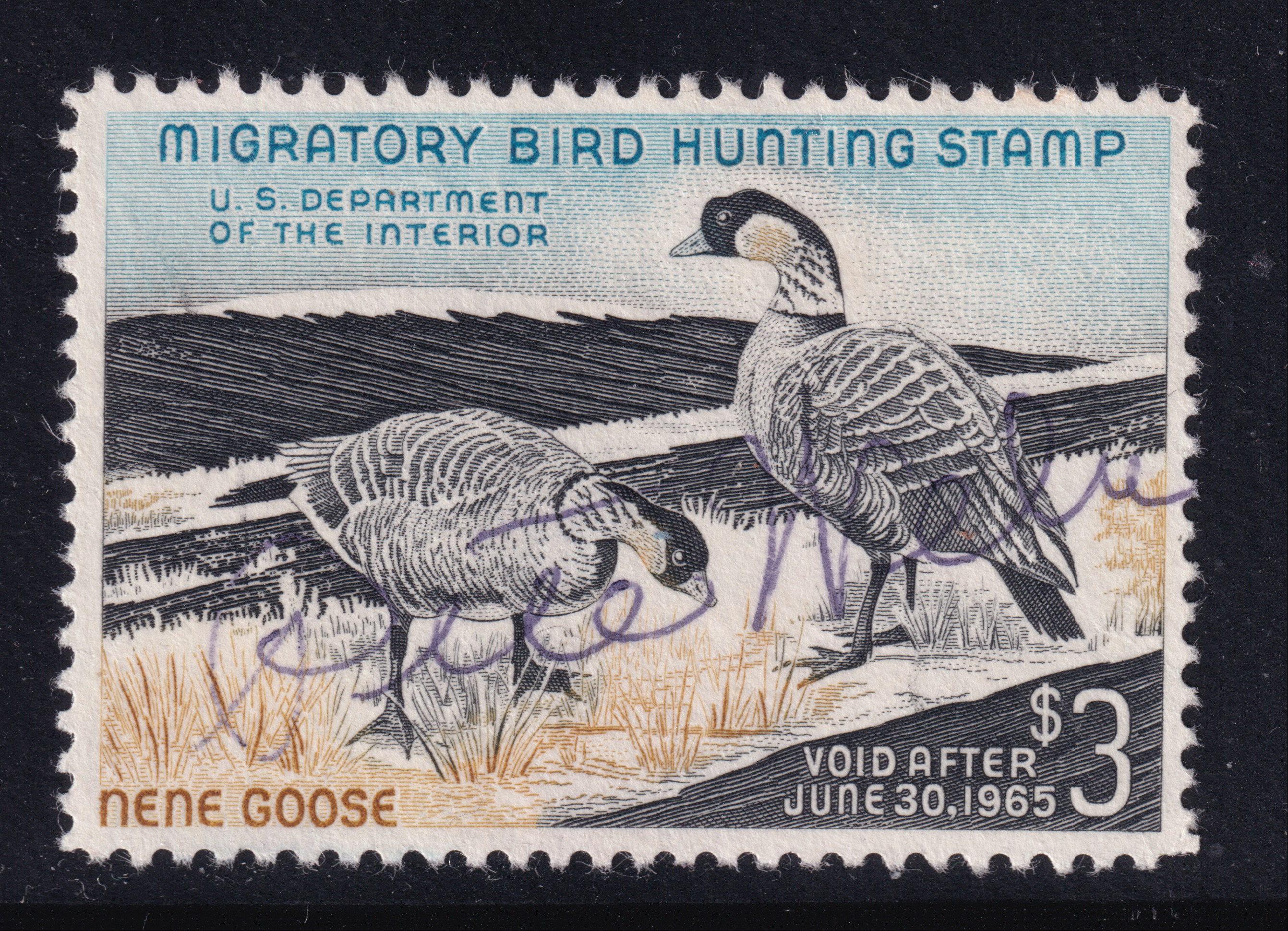 Stamp Picture