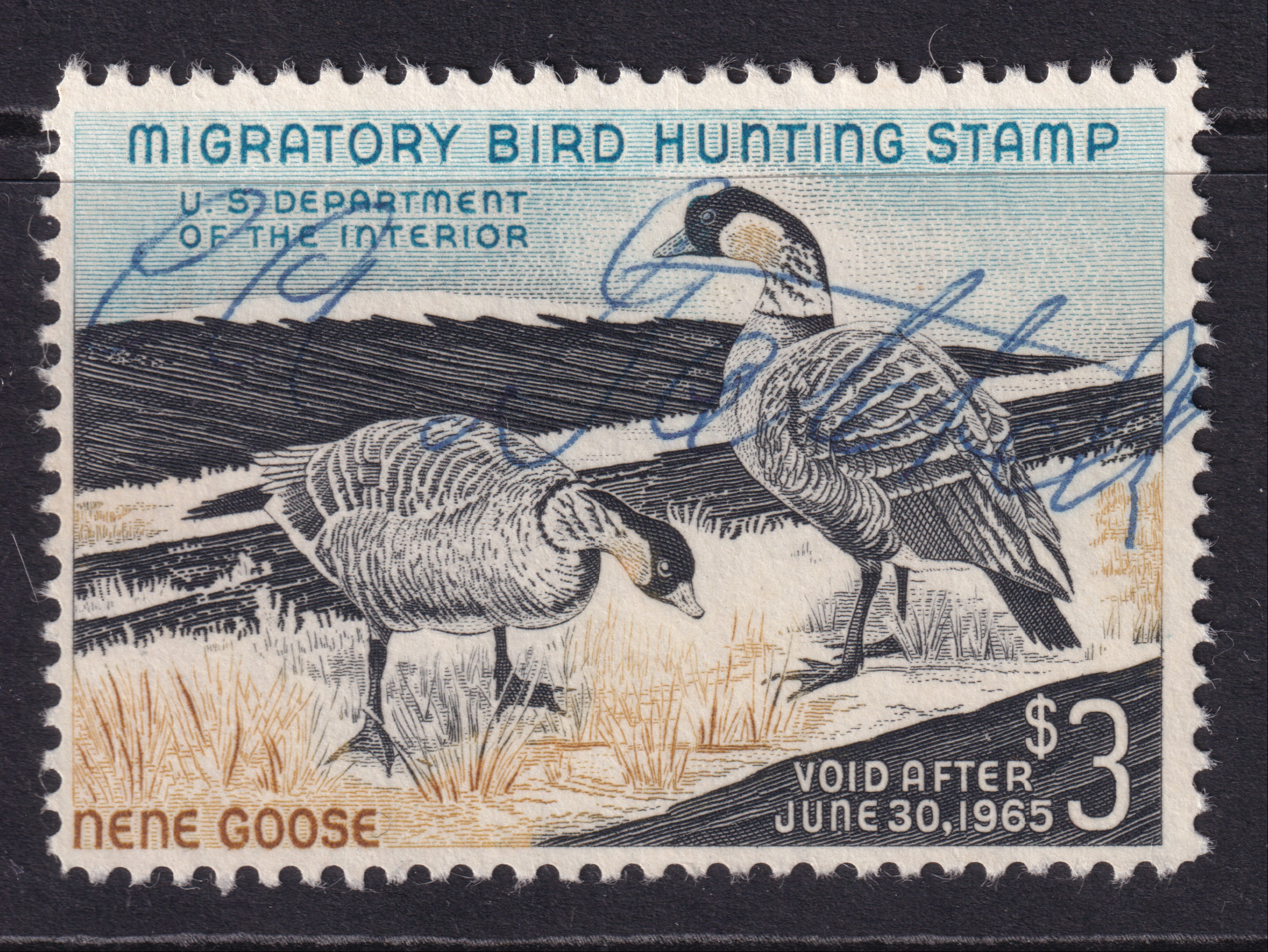 Stamp Picture