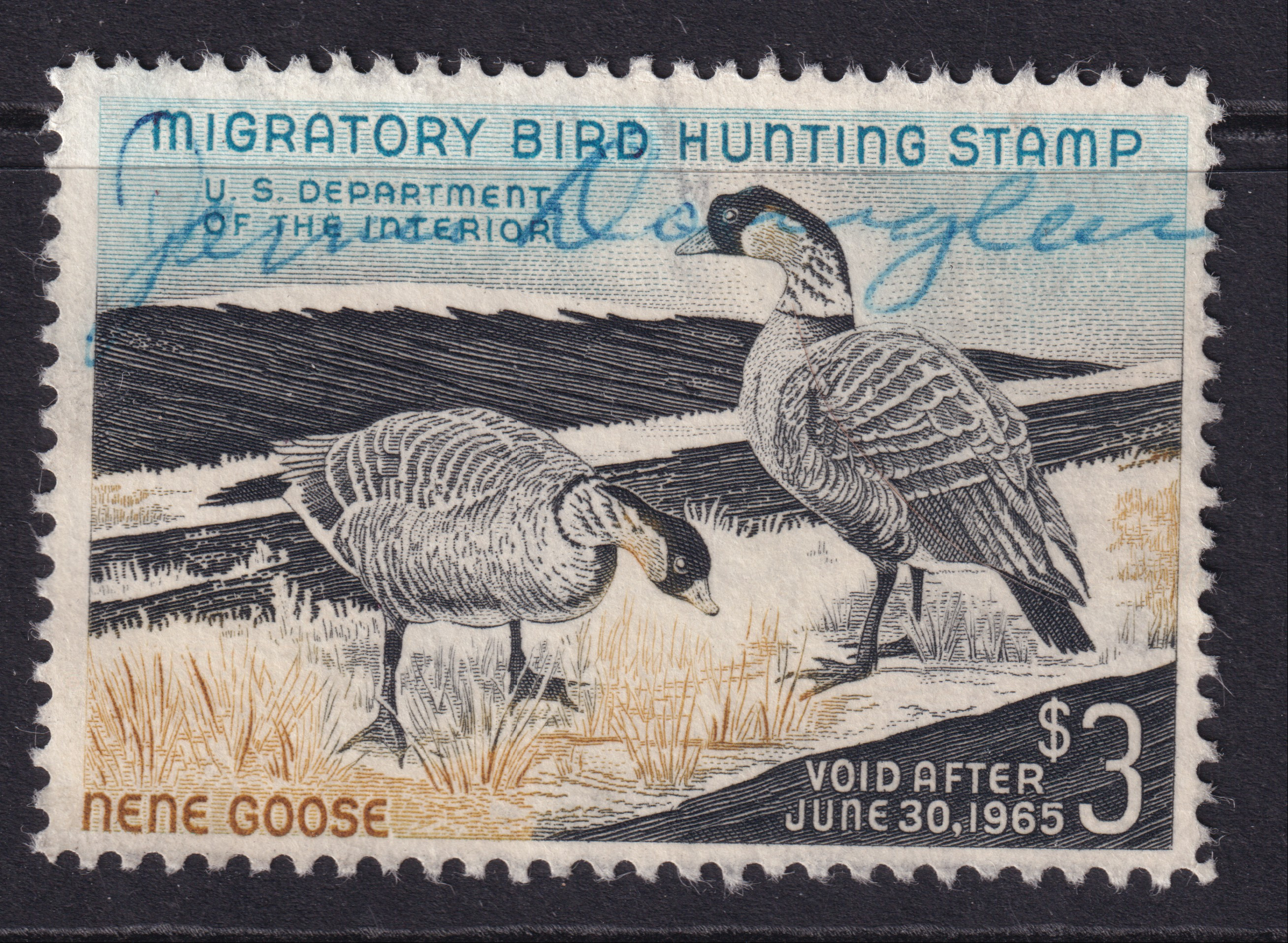 Stamp Picture