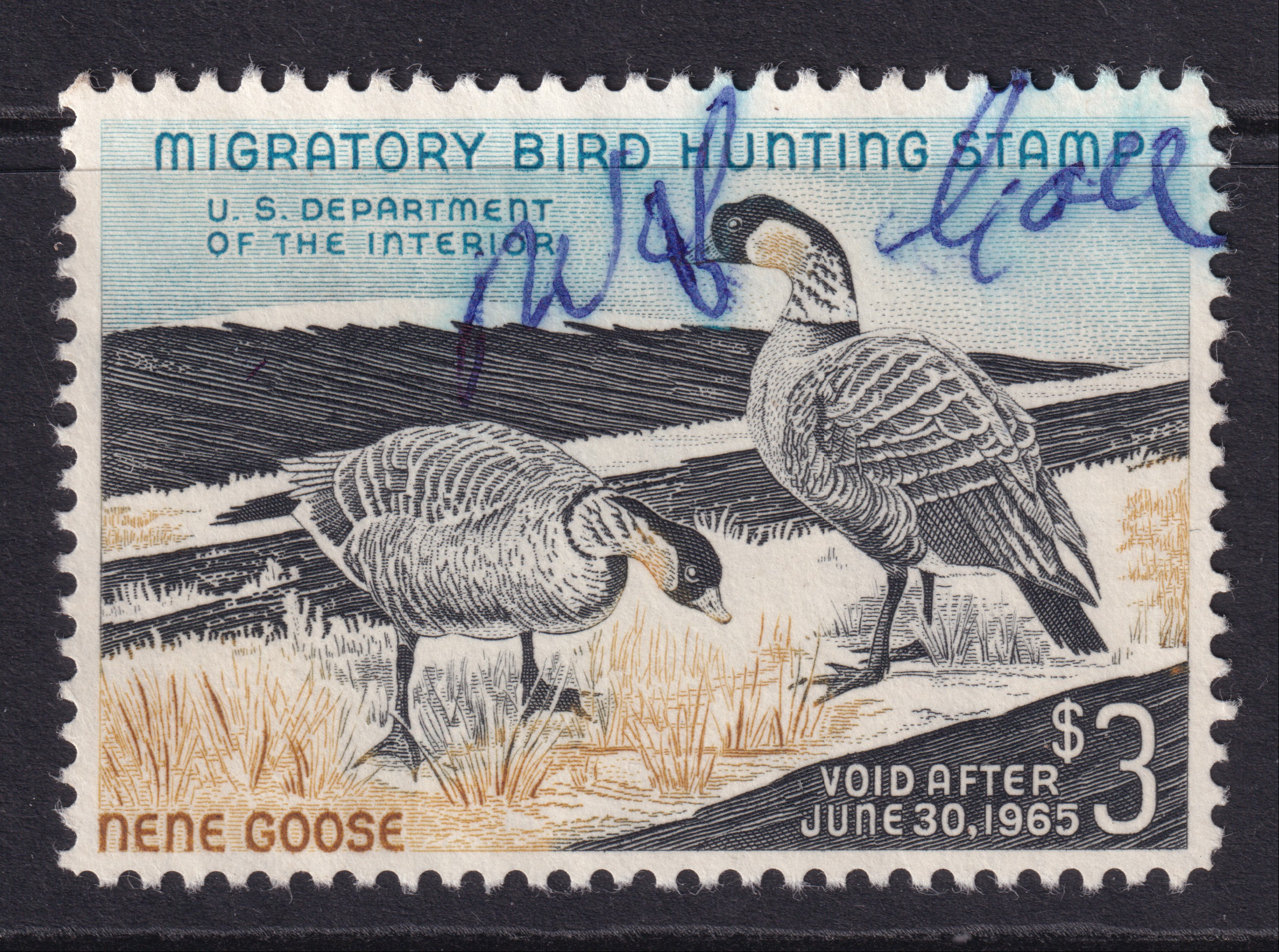 Stamp Picture
