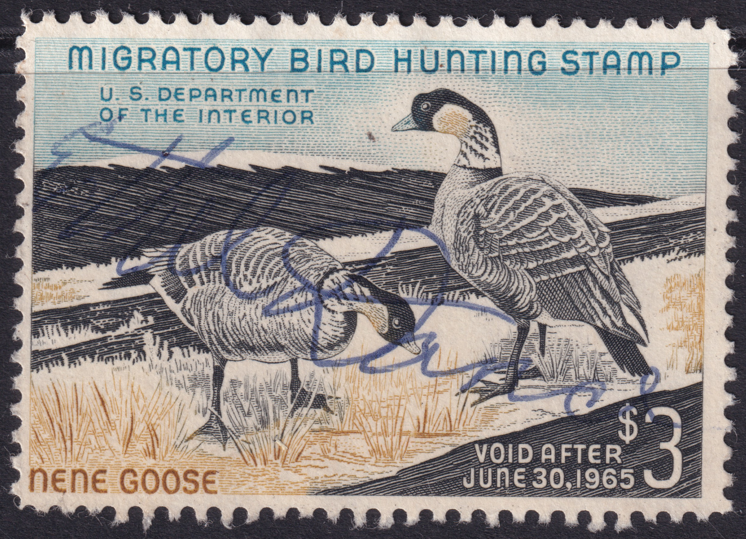 Stamp Picture