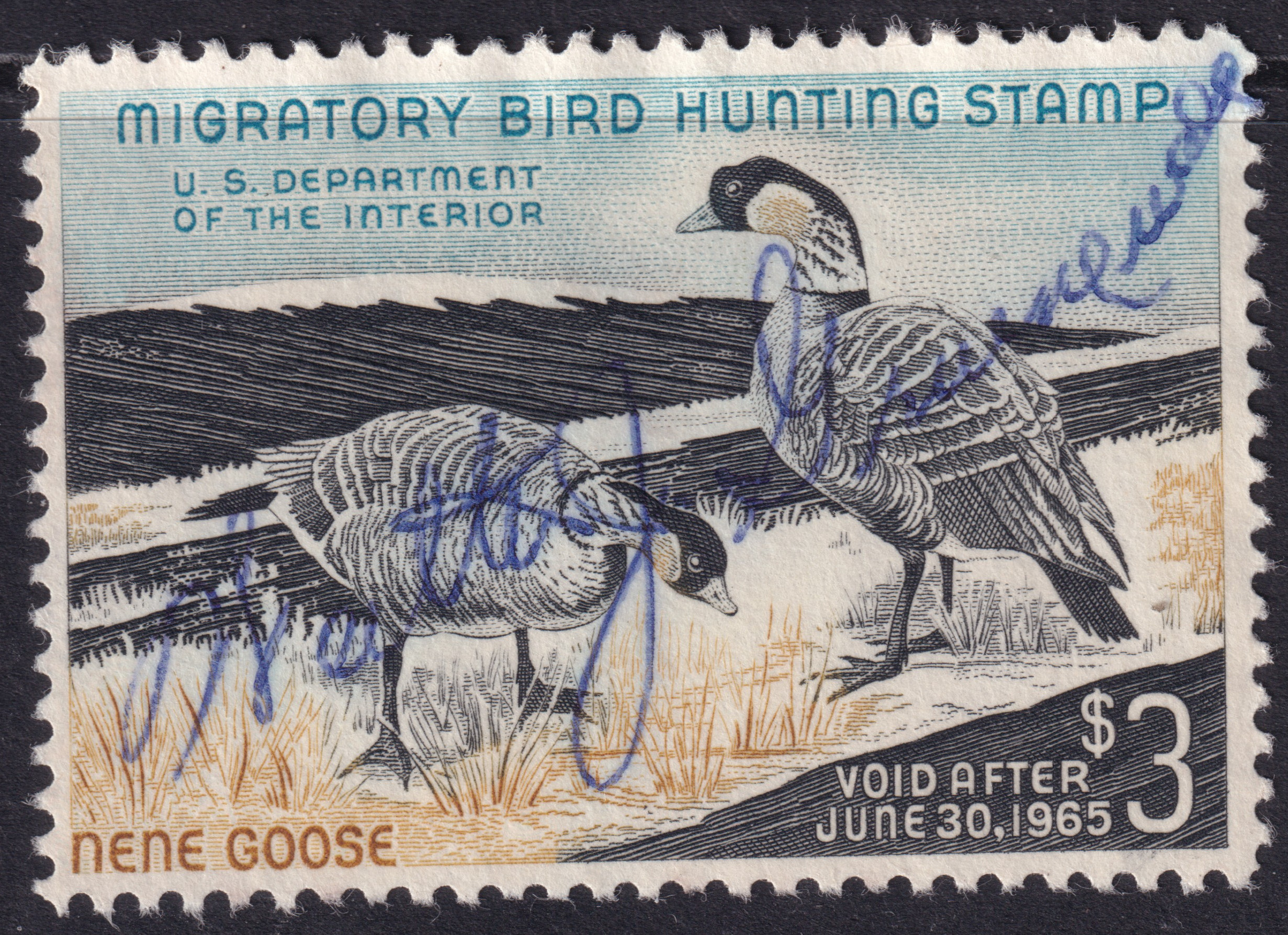 Stamp Picture