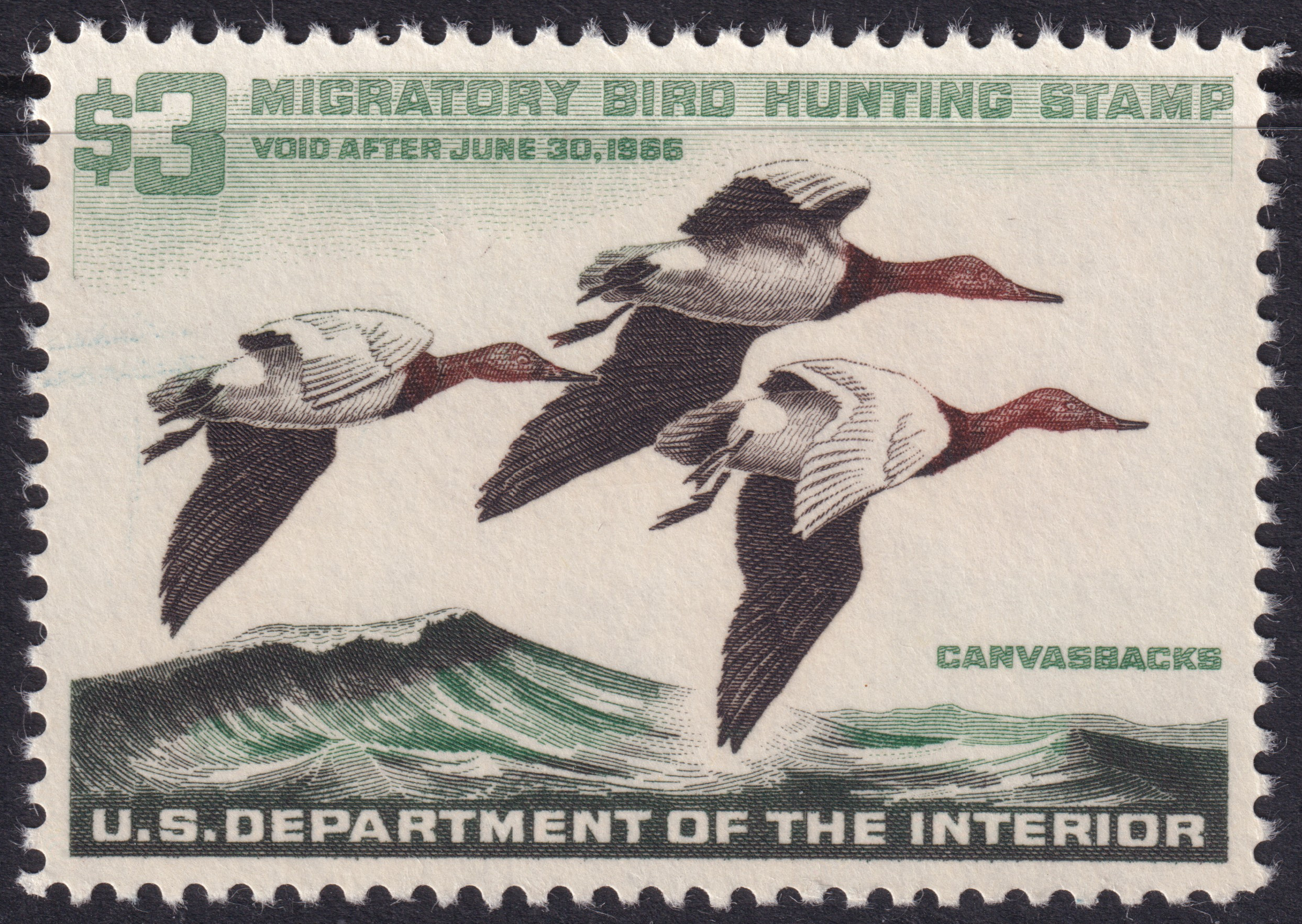 Stamp Picture