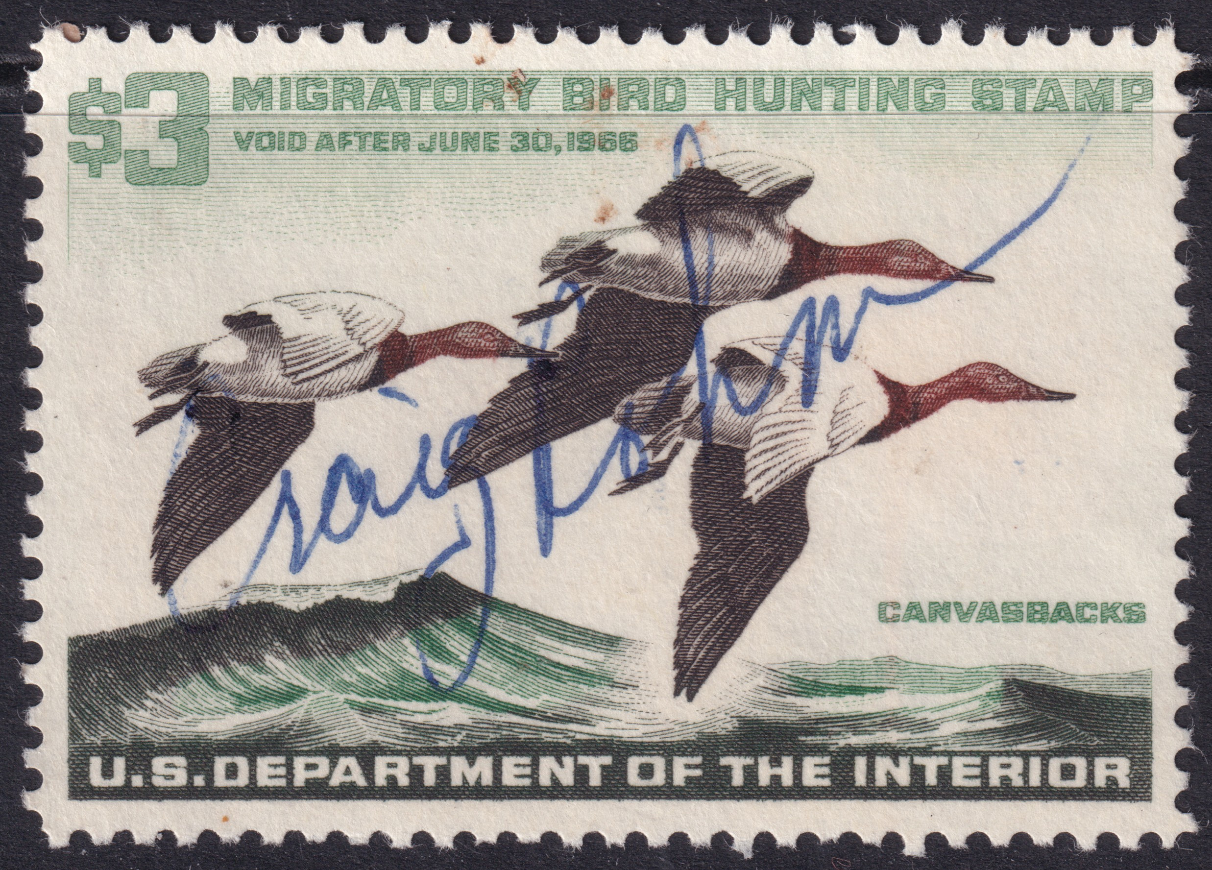 Stamp Picture