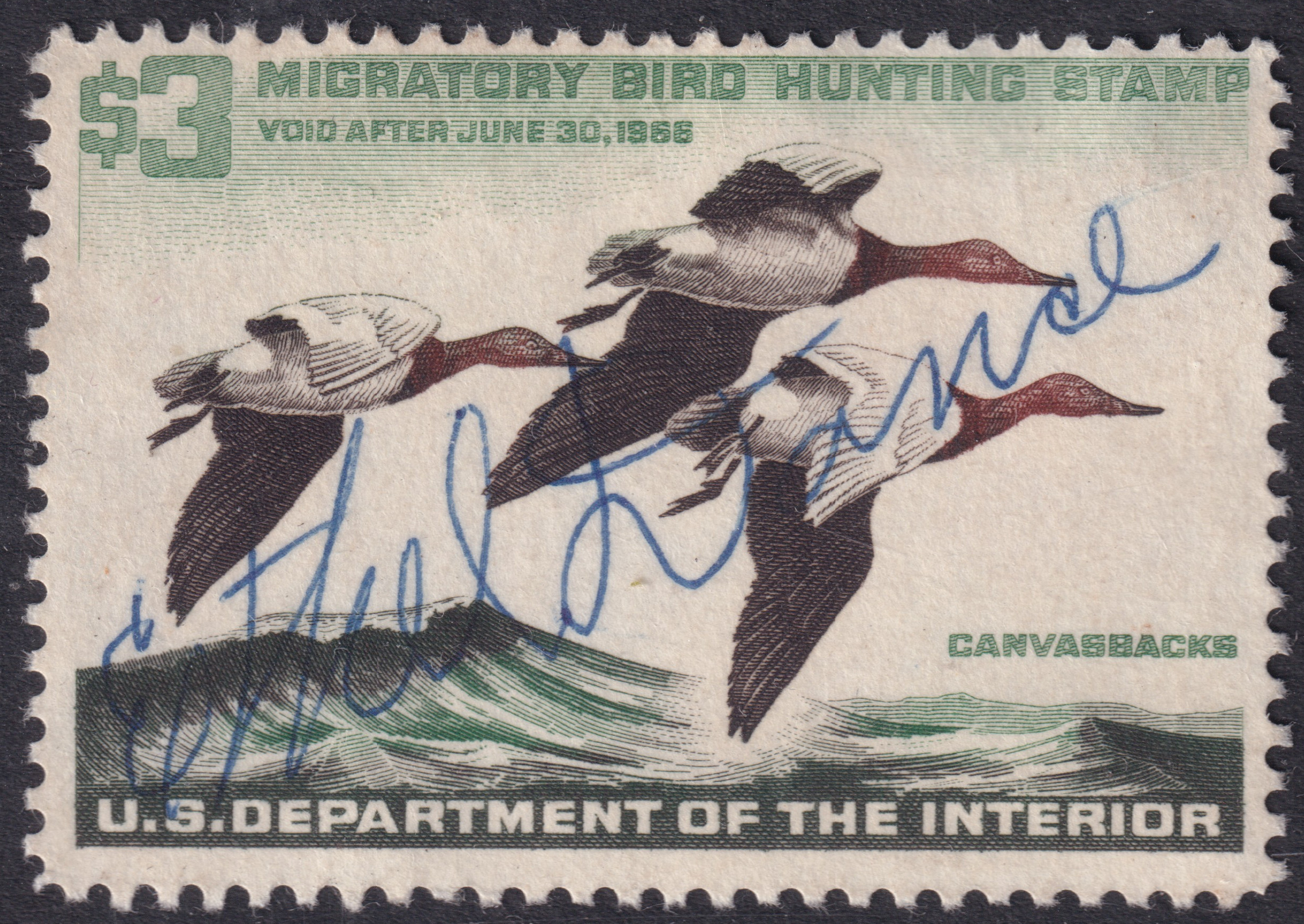 Stamp Picture