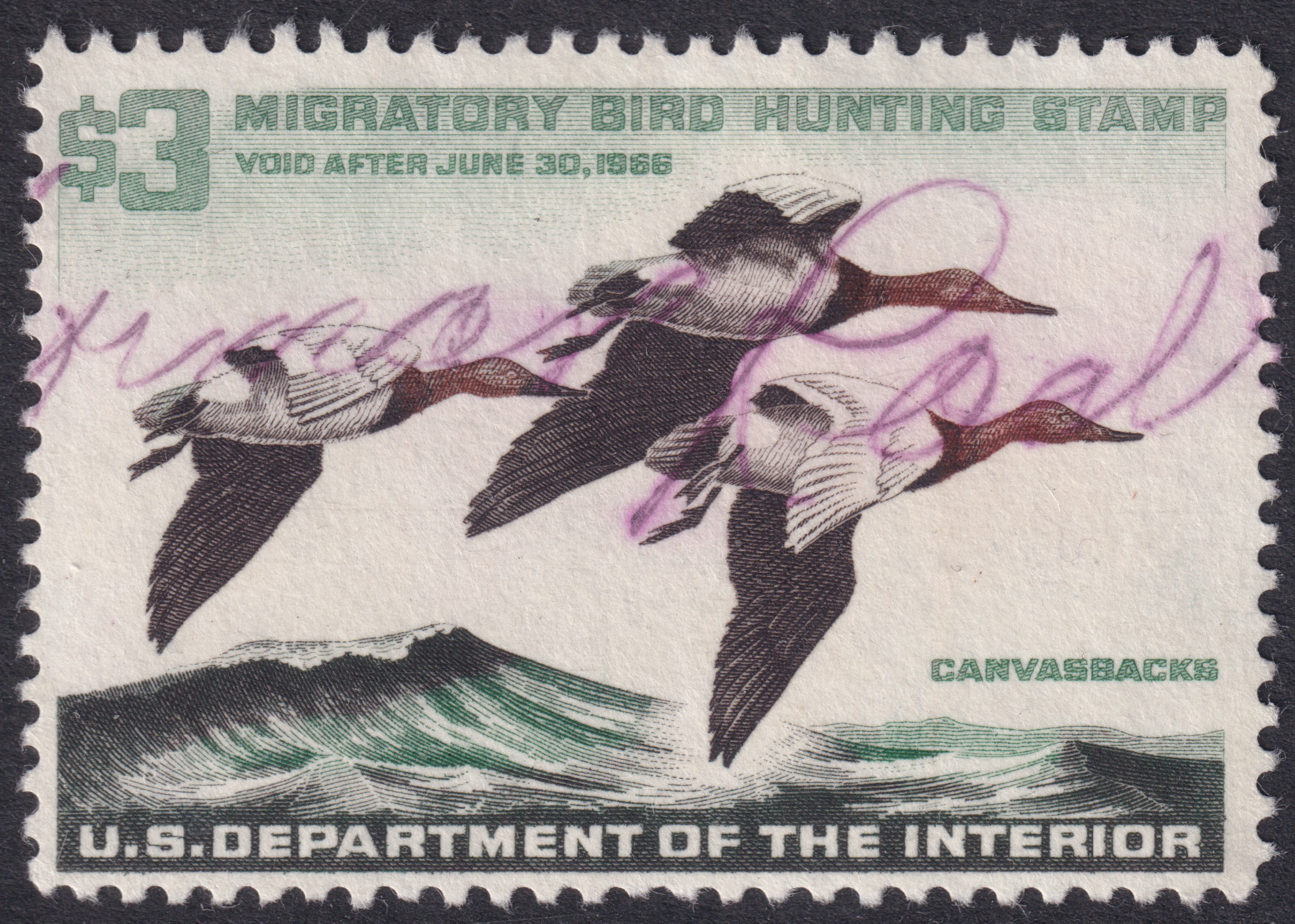 Stamp Picture
