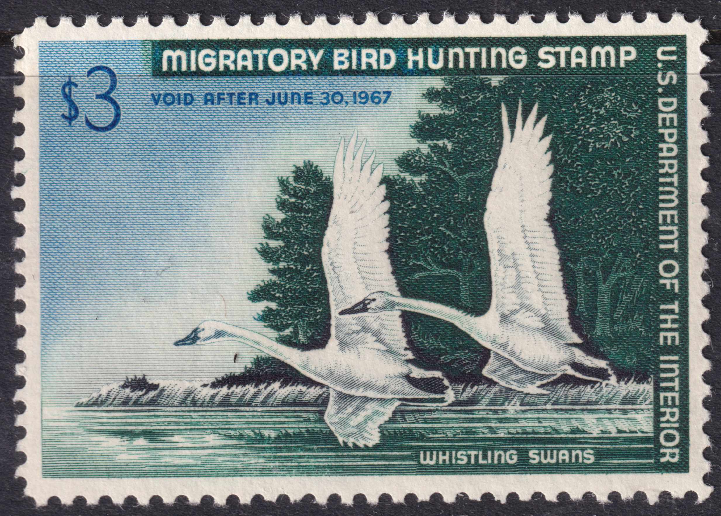 Stamp Picture