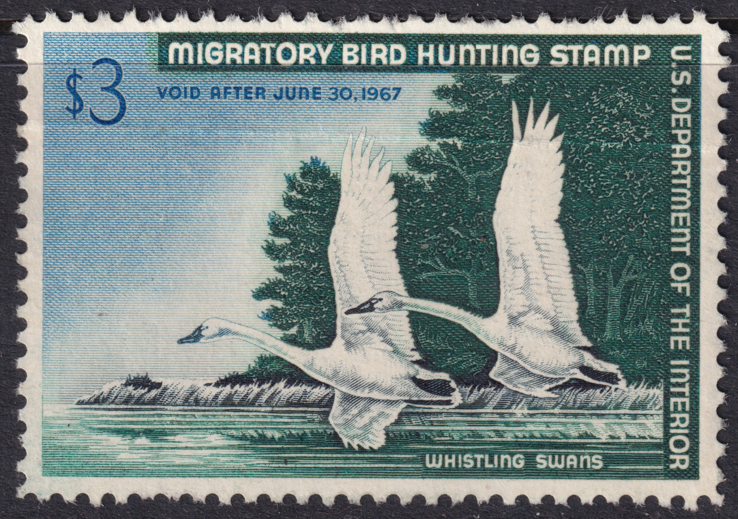 Stamp Picture
