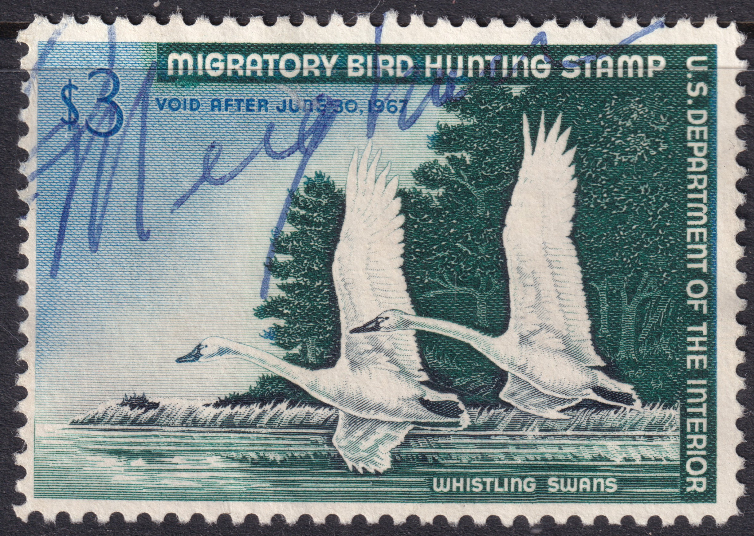 Stamp Picture