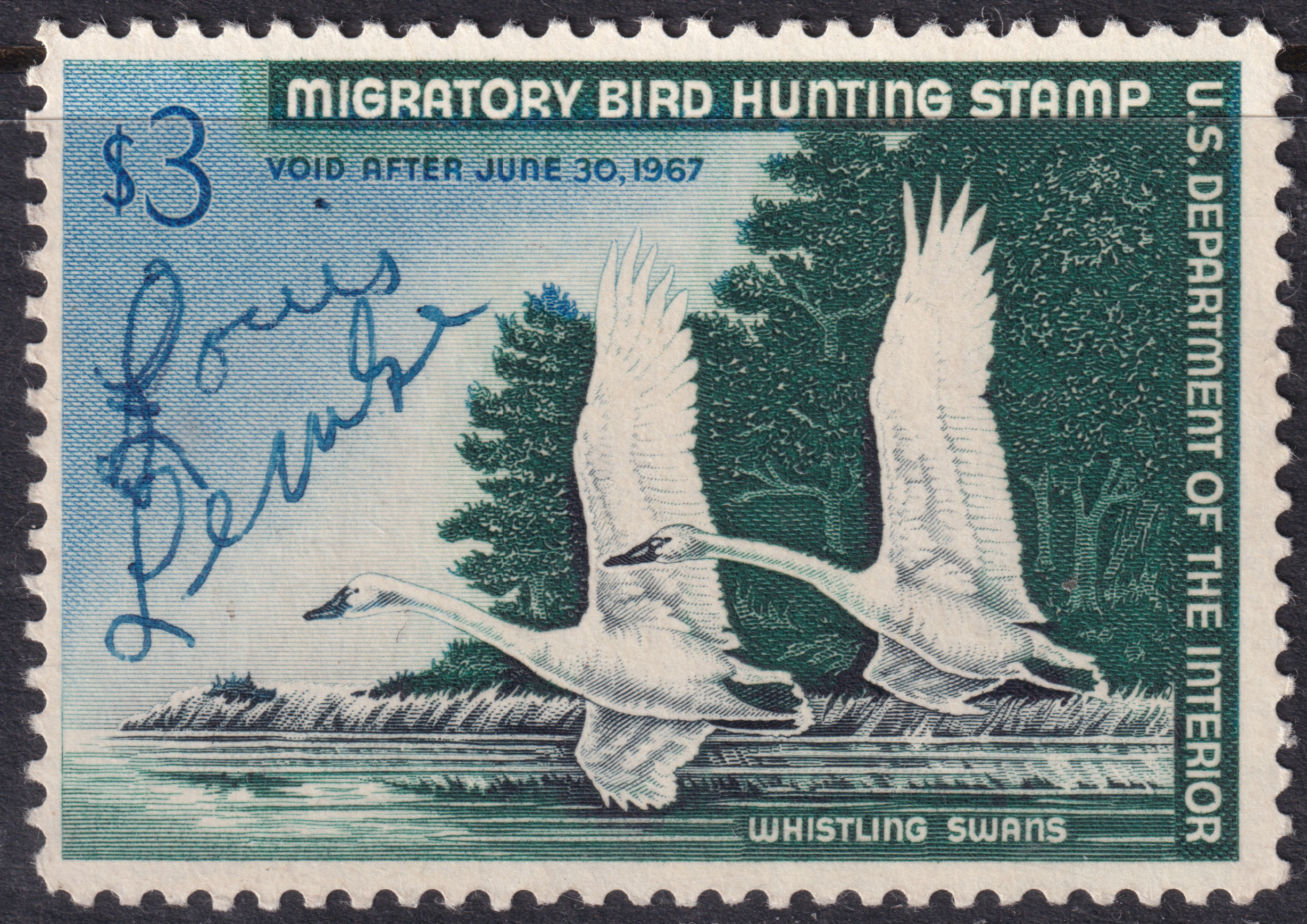 Stamp Picture