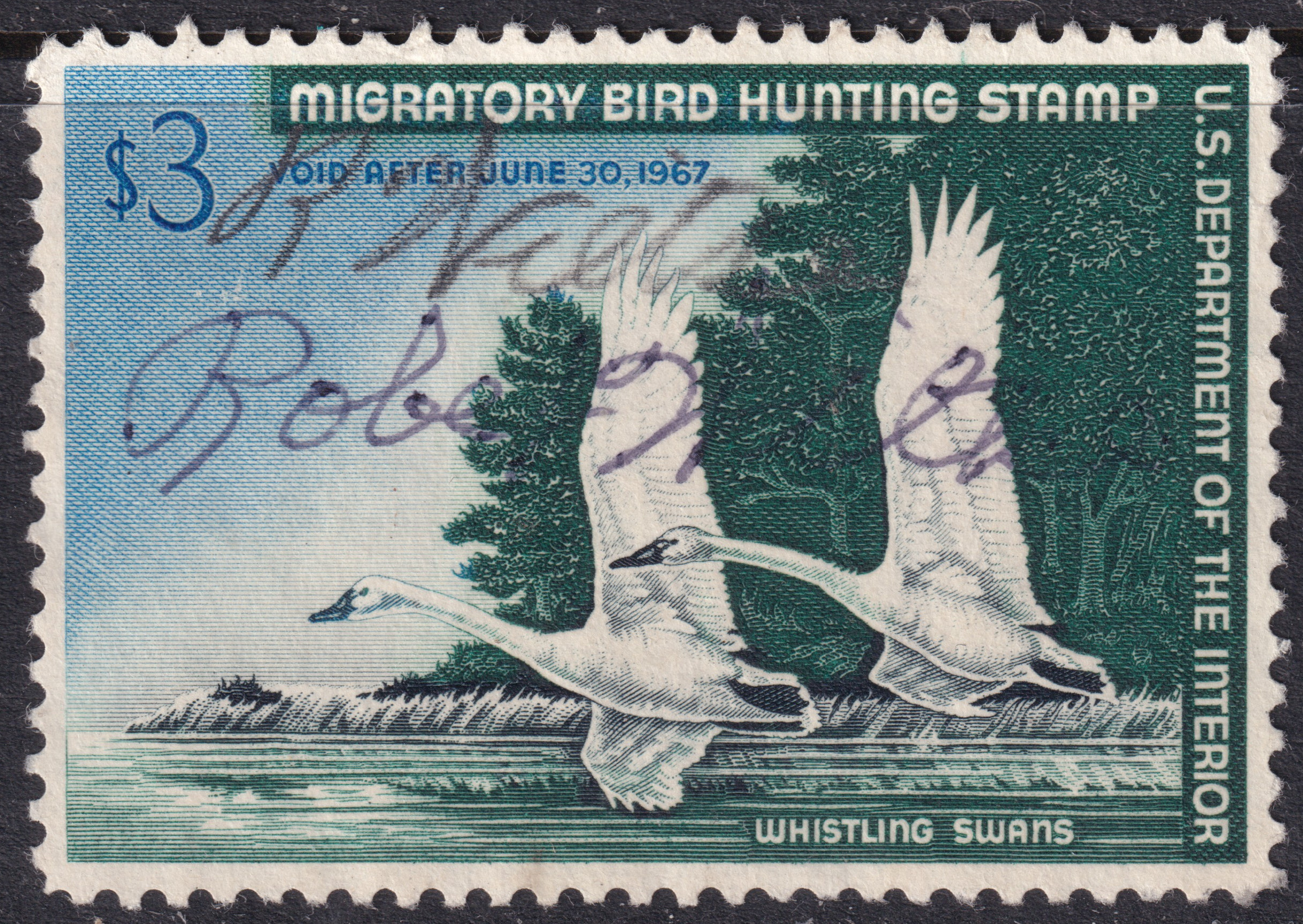 Stamp Picture