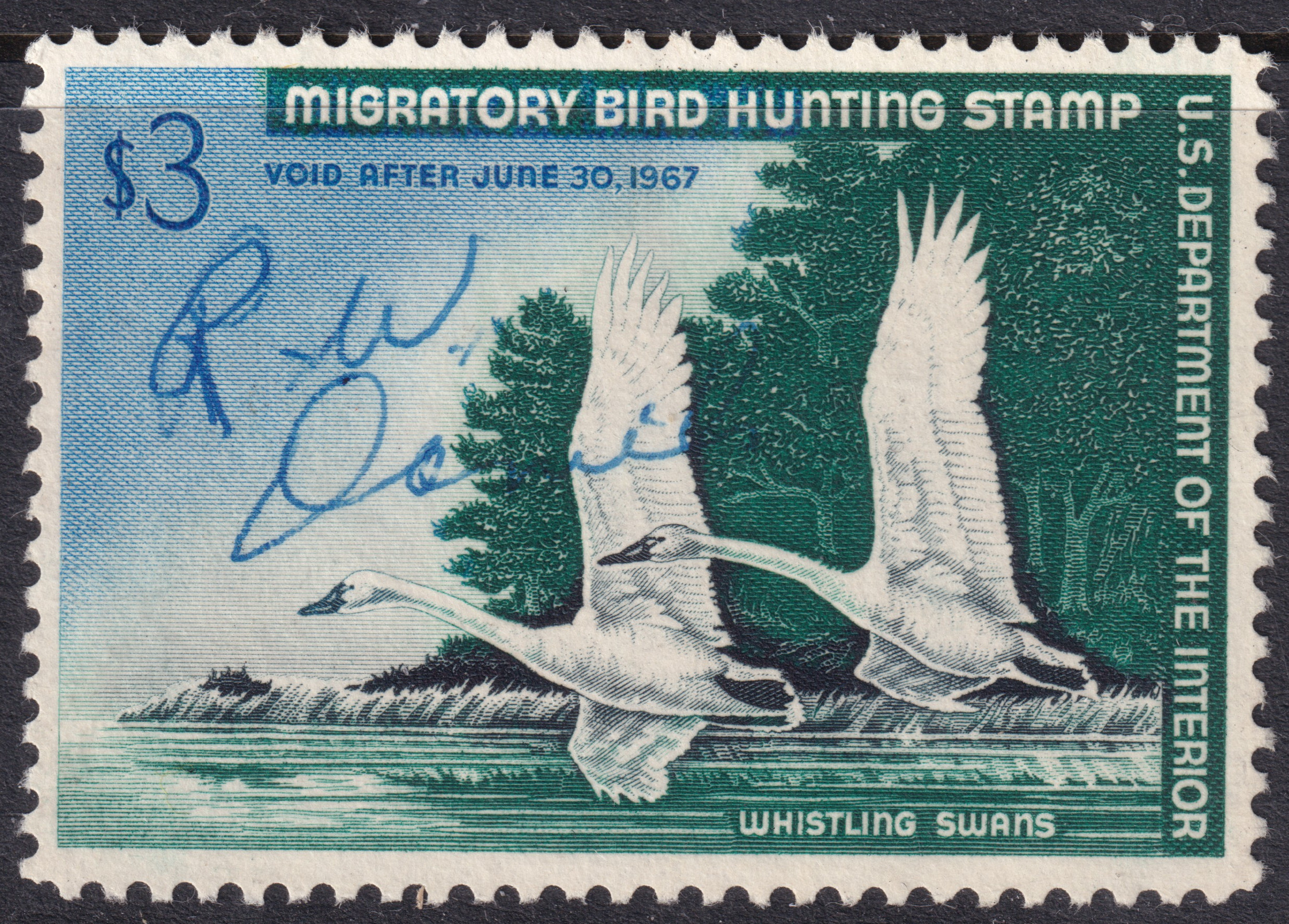 Stamp Picture
